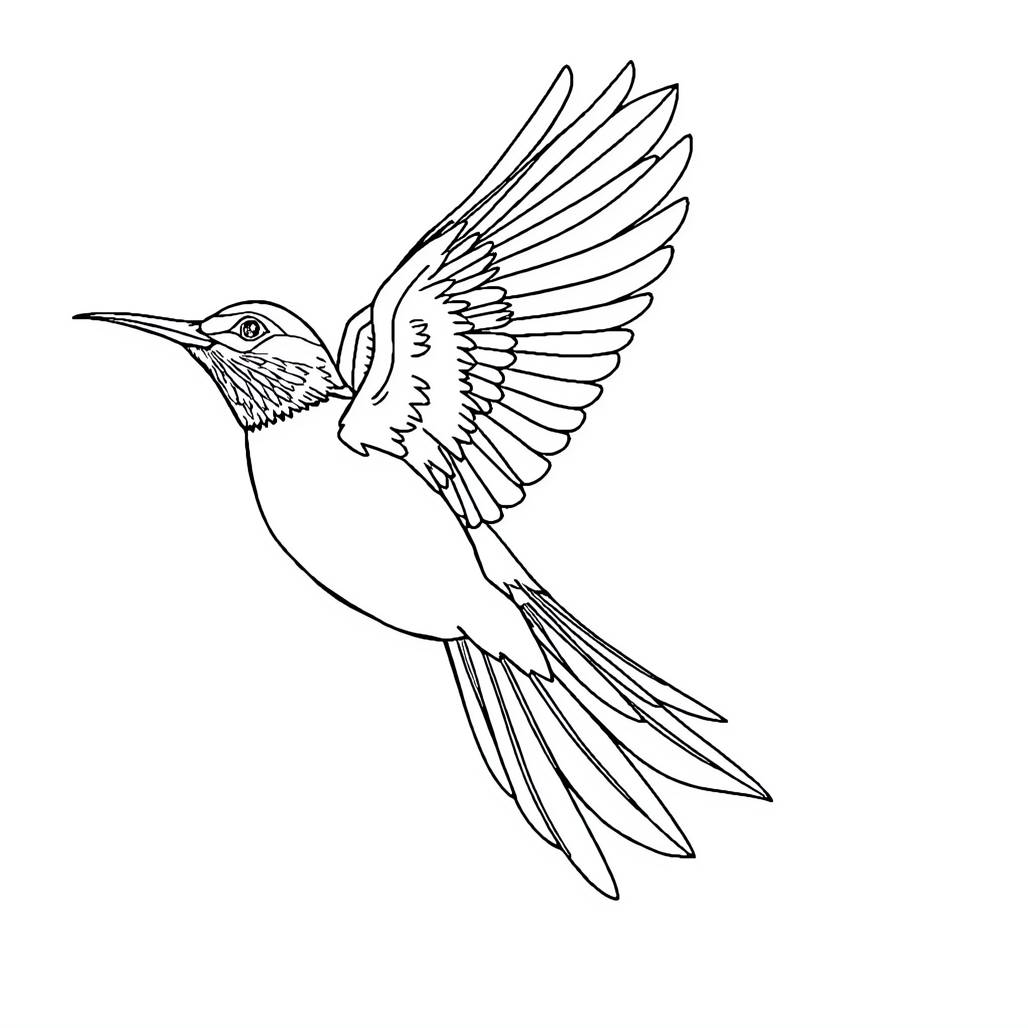 Bird soaring with outstretched wings Coloring Page (free black-and-white line drawing printable PDF for all, from beginners to advanced learners, including children, teens, adults, and seniors)