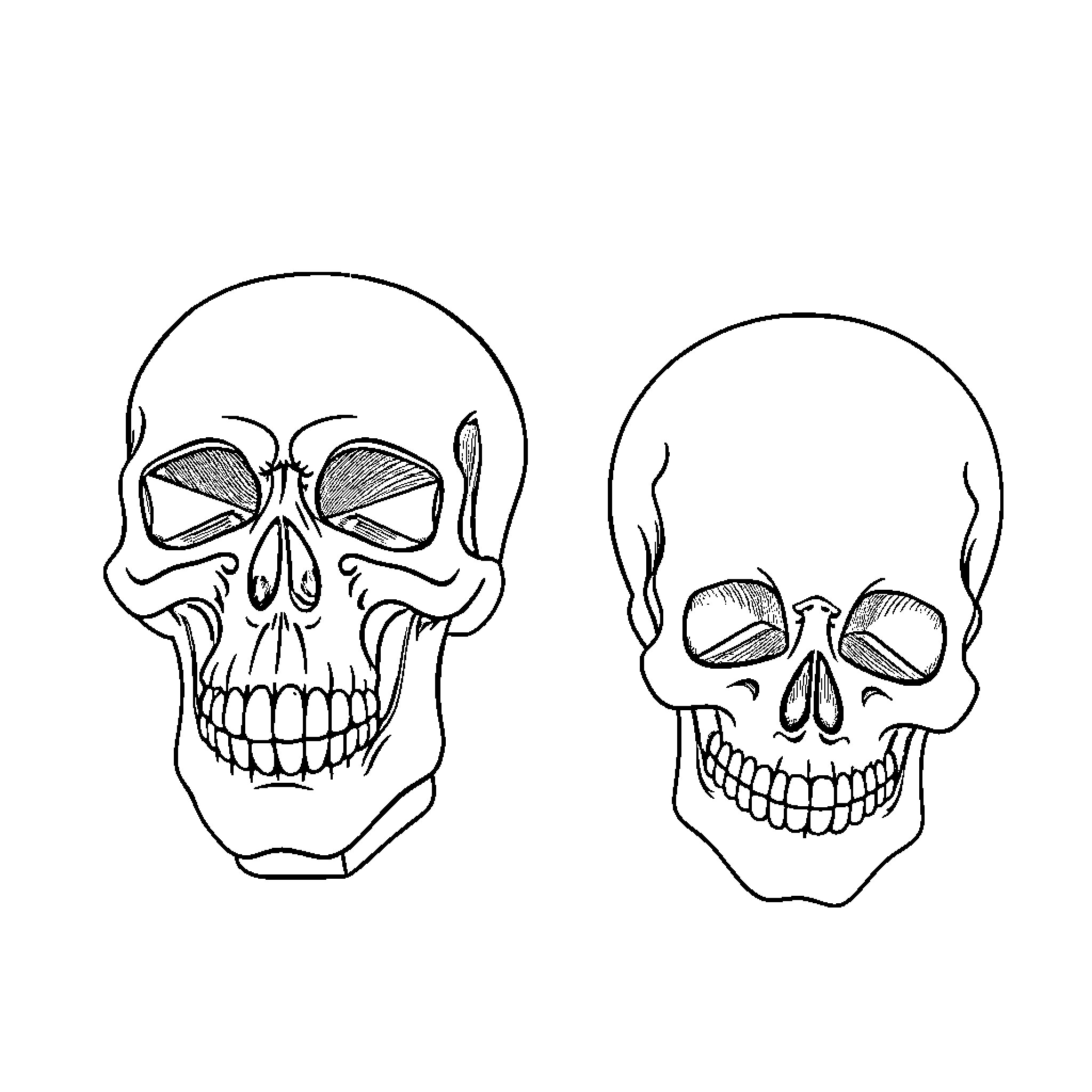 Skull Sketches Depicting Contrasting Expressions Coloring Page (free black-and-white line drawing printable PDF for all, from beginners to advanced learners, including children, teens, adults, and seniors)