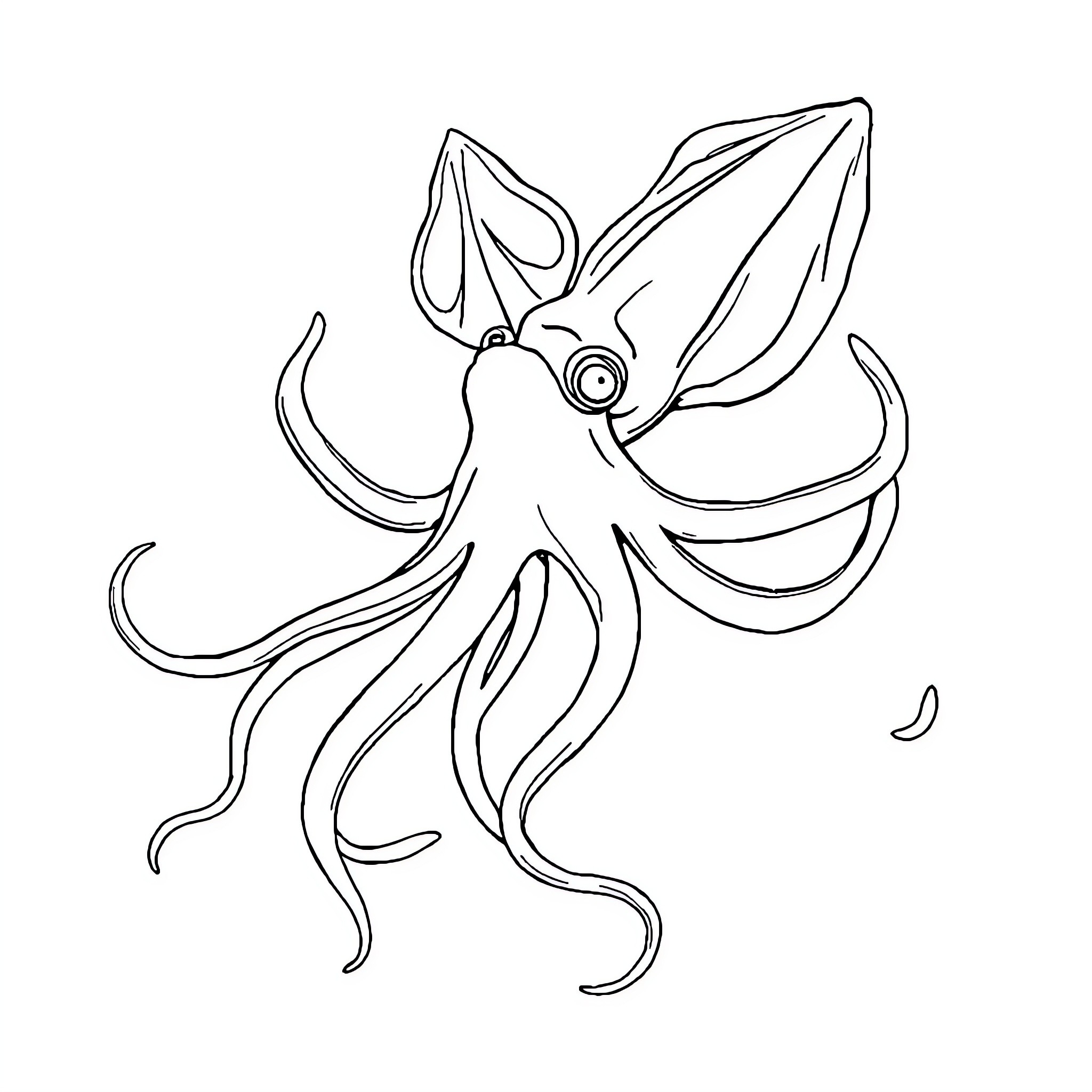 Squid with spreading tentacles Coloring Page (free black-and-white line drawing printable PDF for all, from beginners to advanced learners, including children, teens, adults, and seniors)