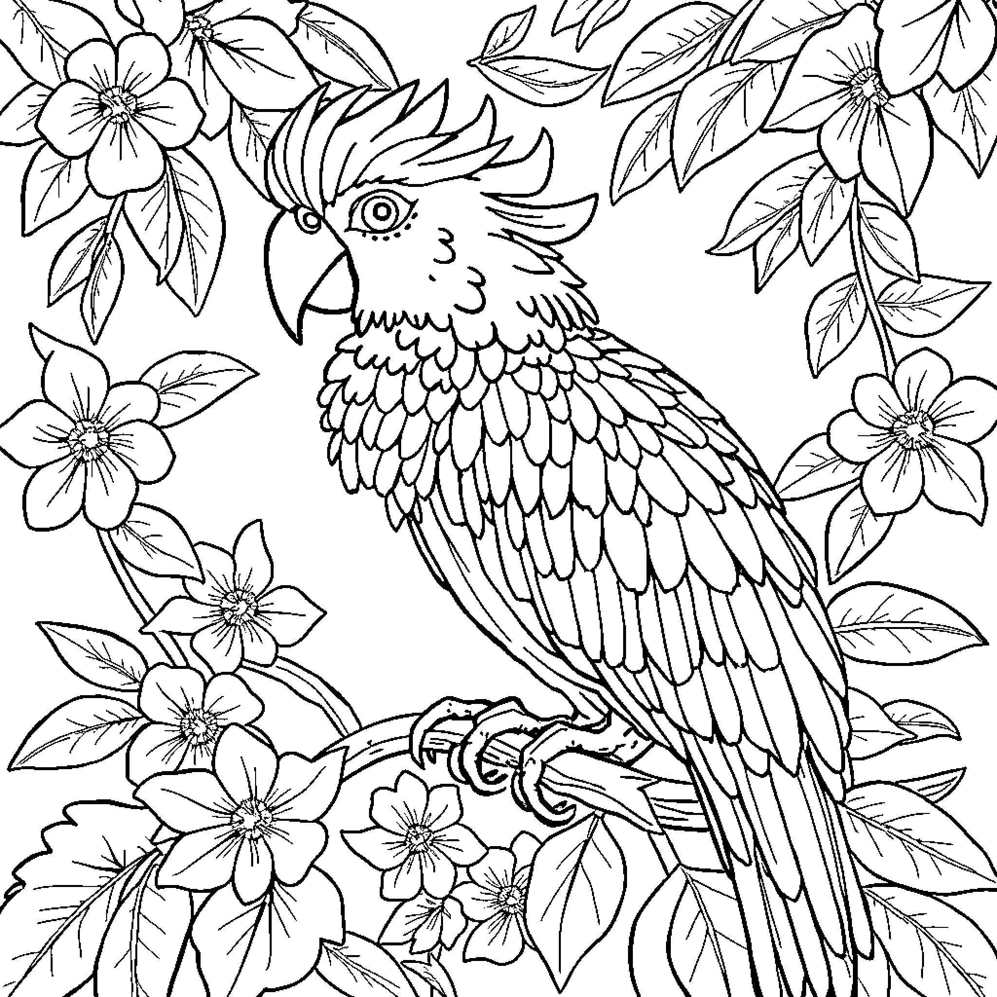 Animal parrot perched on floral branch Coloring Page (free black-and-white line drawing printable PDF for all, from beginners to advanced learners, including children, teens, adults, and seniors)