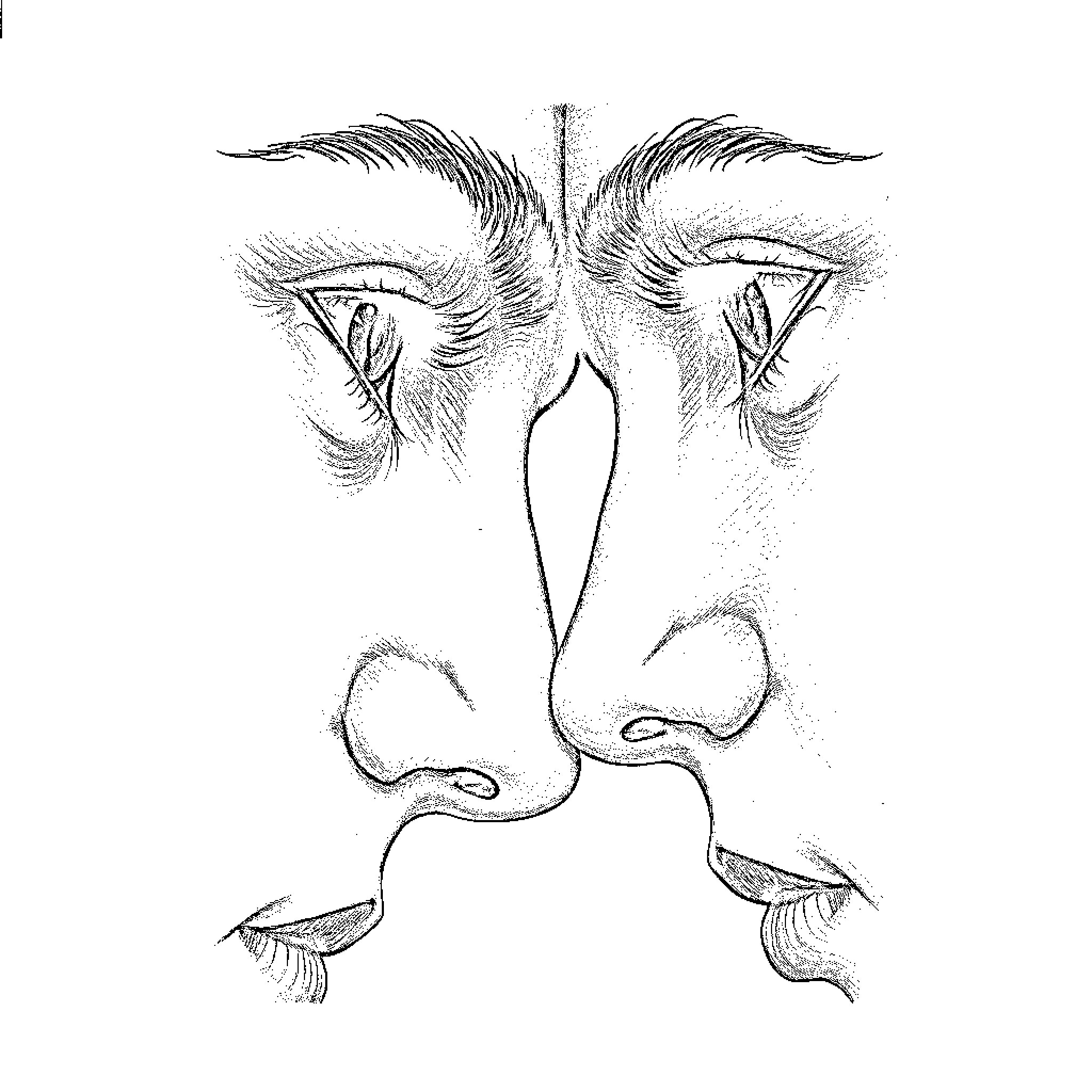 Face of Introspection and Contemplation Coloring Page (free black-and-white line drawing printable PDF for all, from beginners to advanced learners, including children, teens, adults, and seniors)