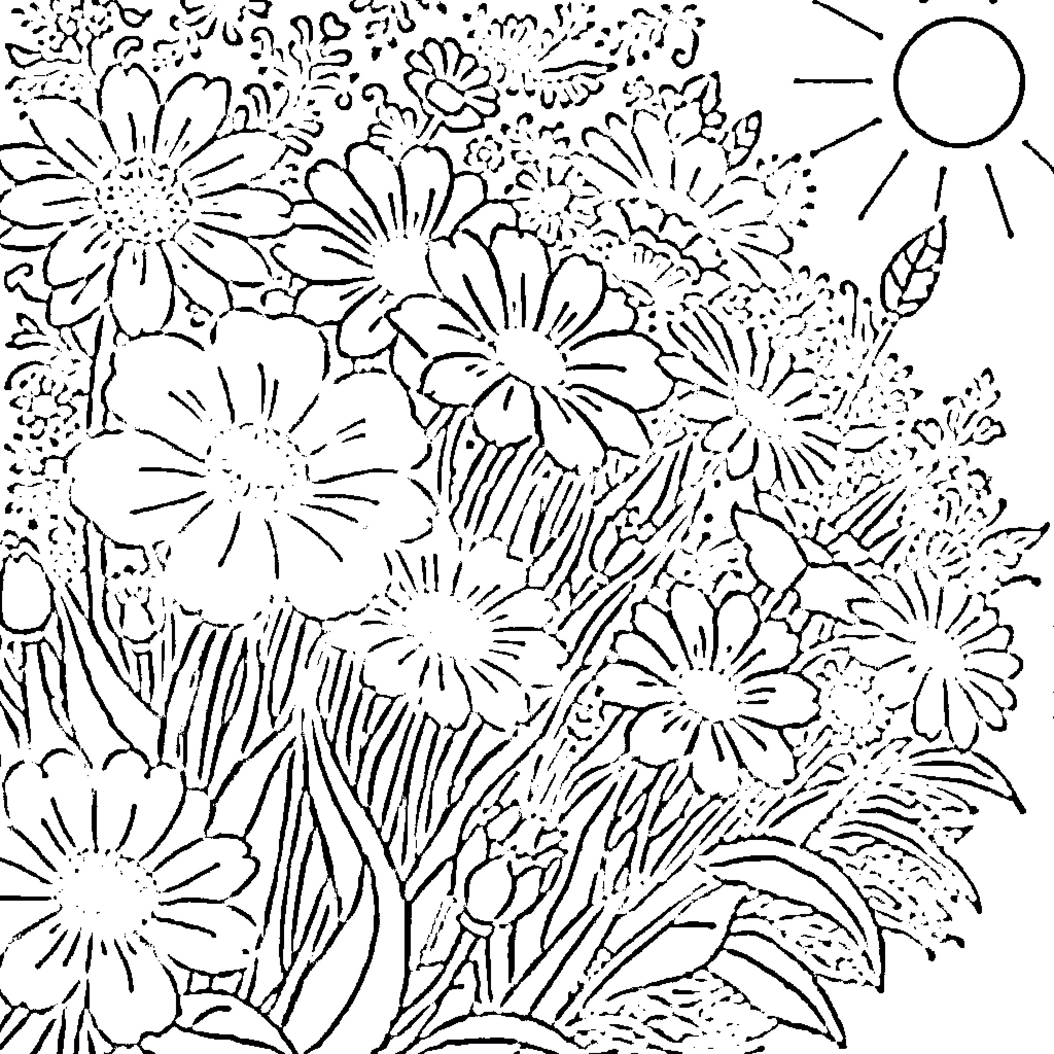 Flower field with sunlight Coloring Page (free black-and-white line drawing printable PDF for all, from beginners to advanced learners, including children, teens, adults, and seniors)