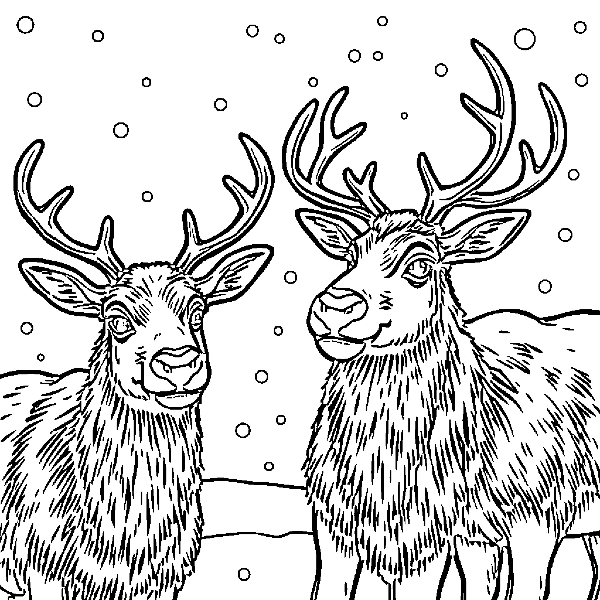 Reindeer pair in winter wonderland Coloring Page (free black-and-white line drawing printable PDF for all, from beginners to advanced learners, including children, teens, adults, and seniors)