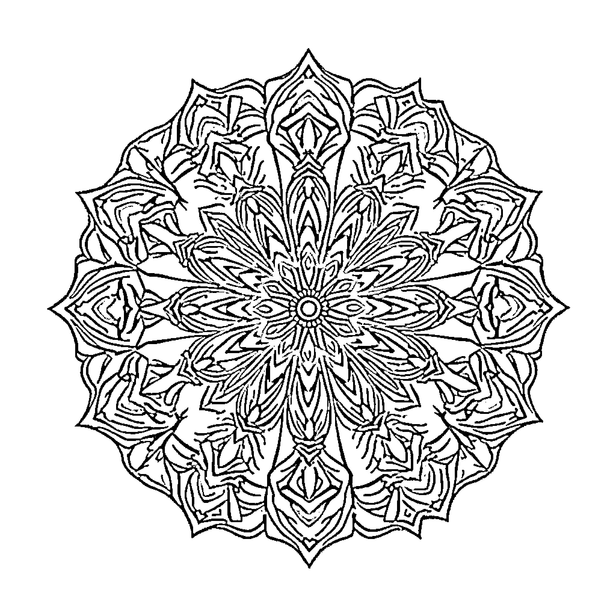 Mandala of intricate floral patterns Coloring Page (free black-and-white line drawing printable PDF for all, from beginners to advanced learners, including children, teens, adults, and seniors)