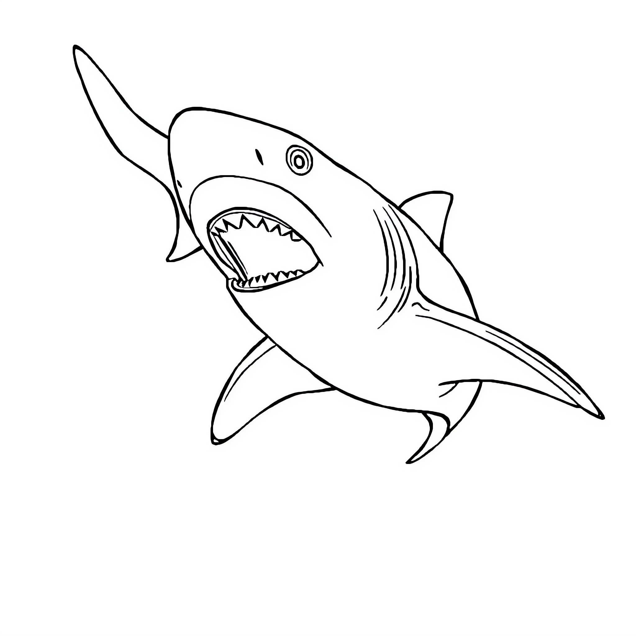 Shark with open mouth and sharp teeth Coloring Page (free black-and-white line drawing printable PDF for all, from beginners to advanced learners, including children, teens, adults, and seniors)