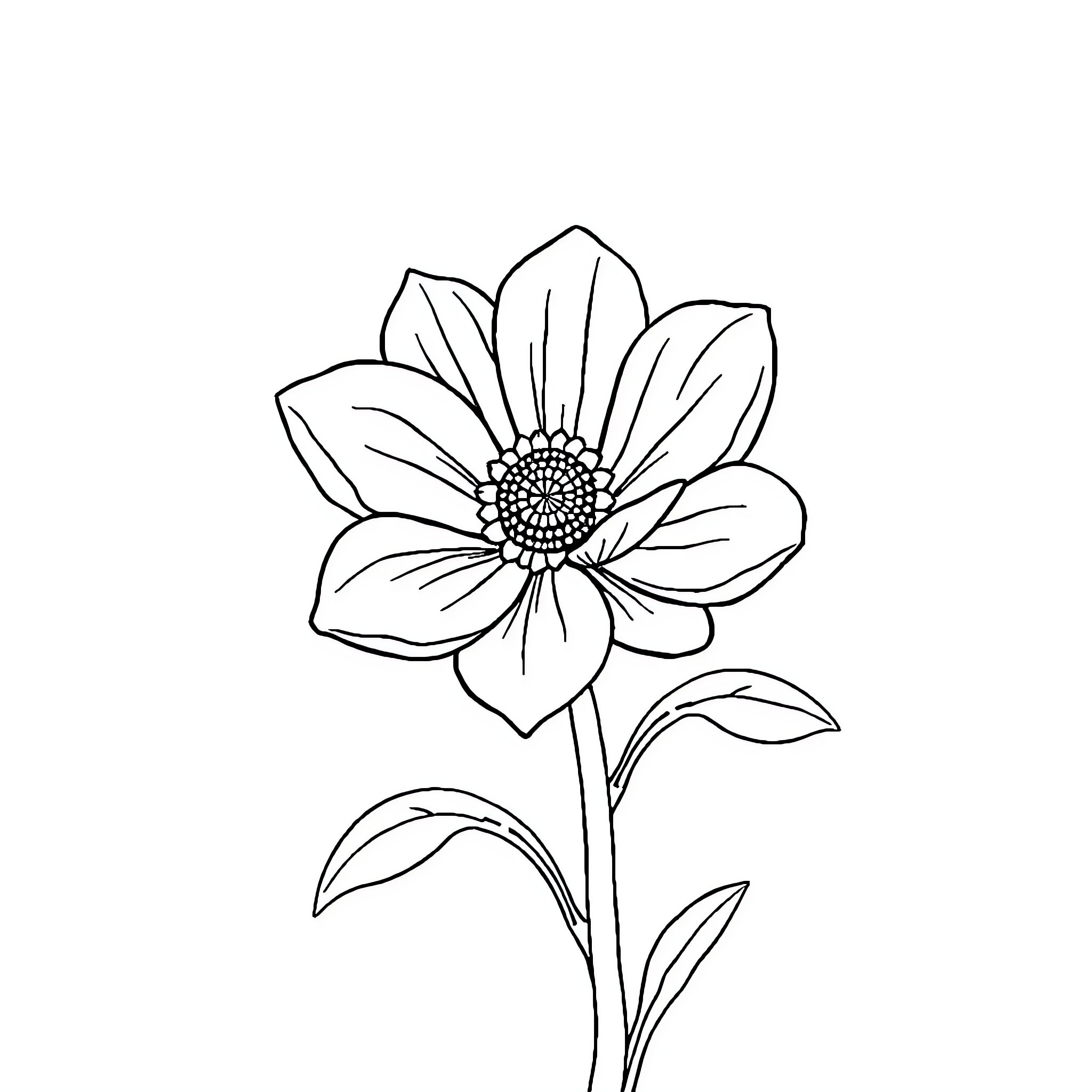 A Blooming Flower in Monochrome Coloring Page (free black-and-white line drawing printable PDF for all, from beginners to advanced learners, including children, teens, adults, and seniors)