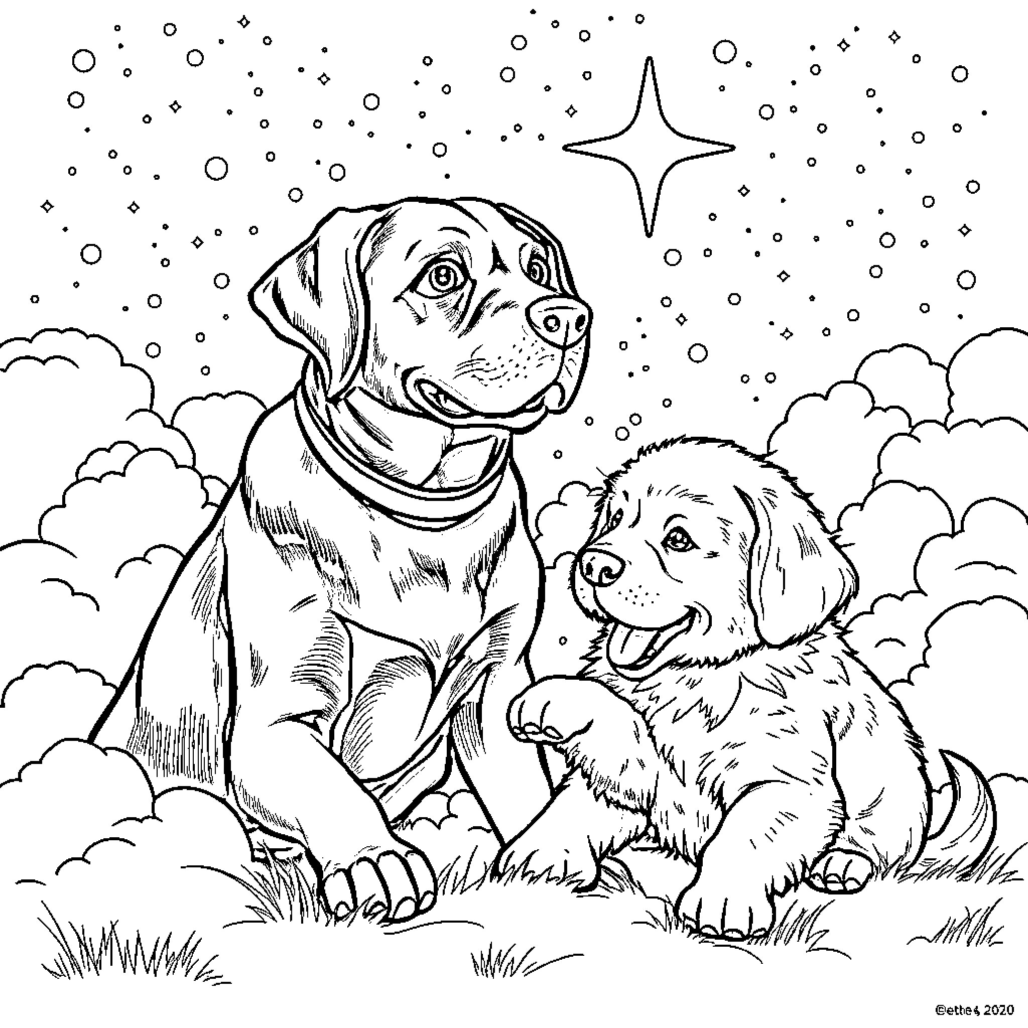 Labradors enjoying the starry night sky Coloring Page (free black-and-white line drawing printable PDF for all, from beginners to advanced learners, including children, teens, adults, and seniors)
