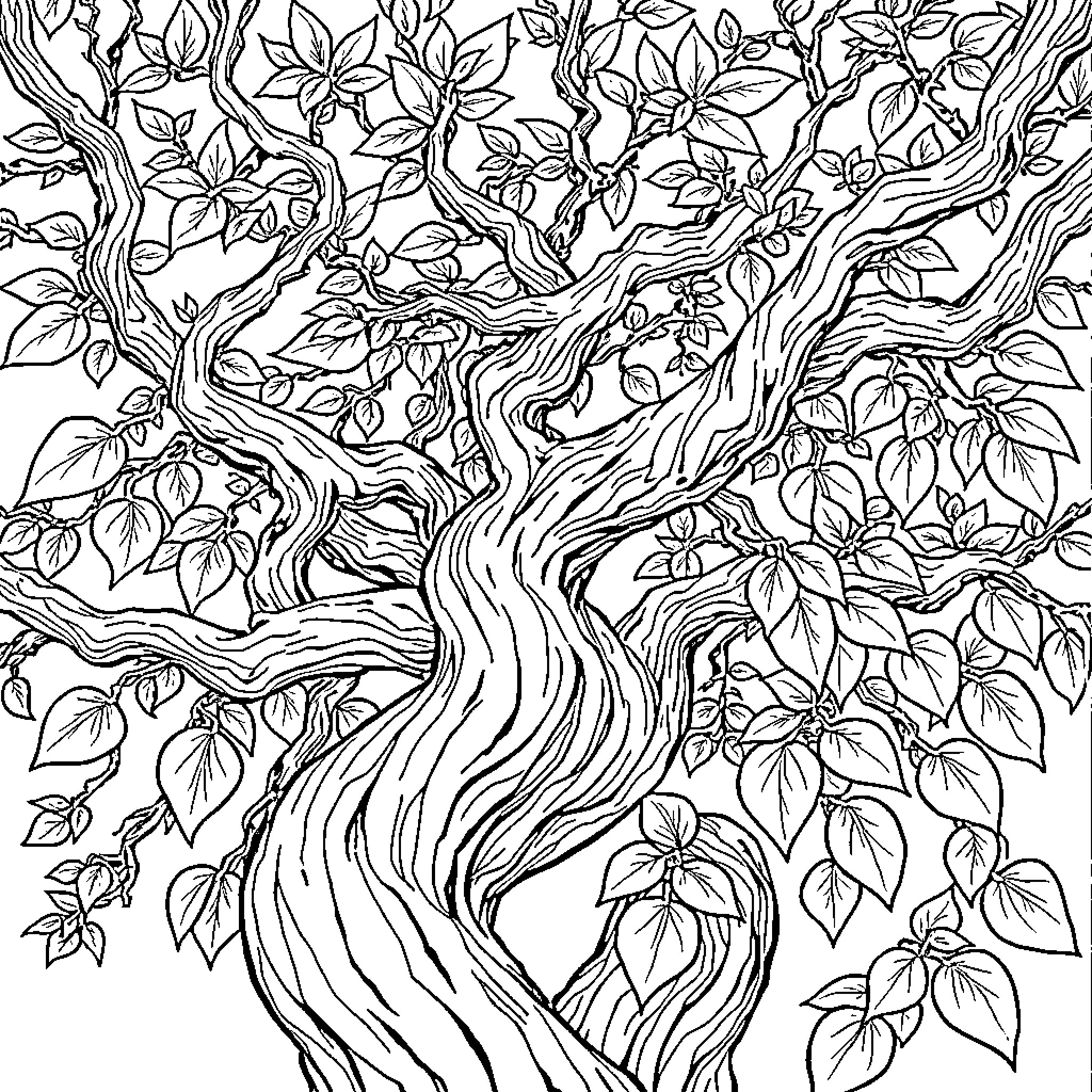 Katseye Tangled Tree with Lush Foliage Coloring Page (free black-and-white line drawing printable PDF for all, from beginners to advanced learners, including children, teens, adults, and seniors)