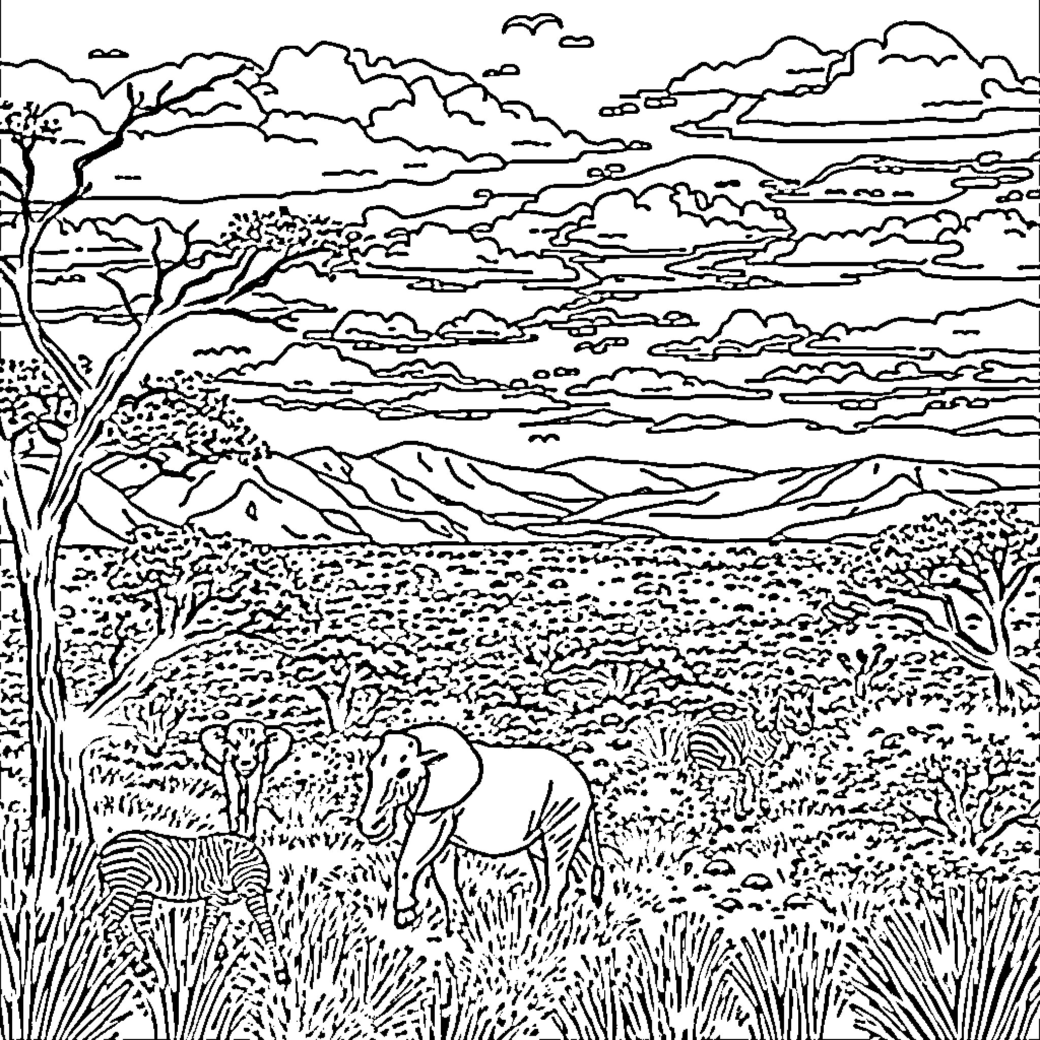 Kruger National Park wildlife and scenic landscape Coloring Page (free black-and-white line drawing printable PDF for all, from beginners to advanced learners, including children, teens, adults, and seniors)