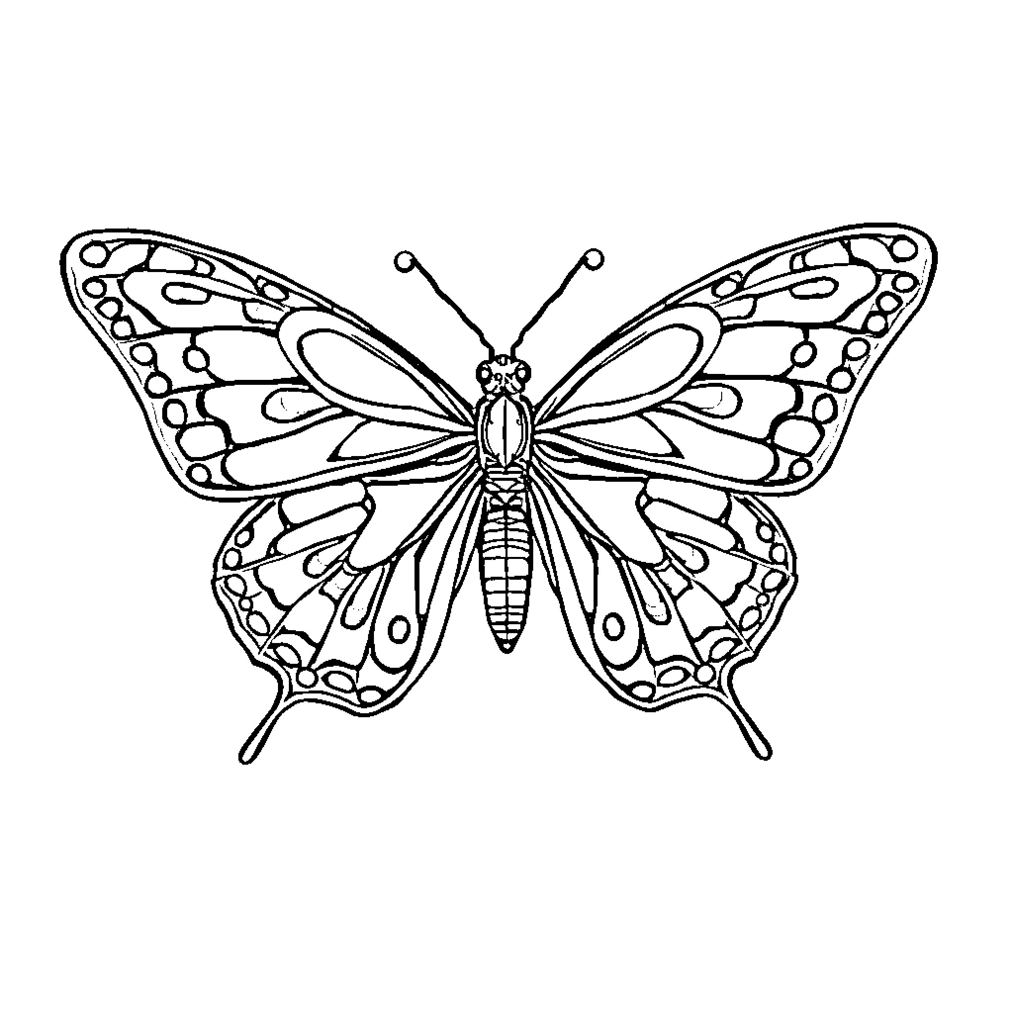 Skull Butterfly taking flight Coloring Page (free black-and-white line drawing printable PDF for all, from beginners to advanced learners, including children, teens, adults, and seniors)