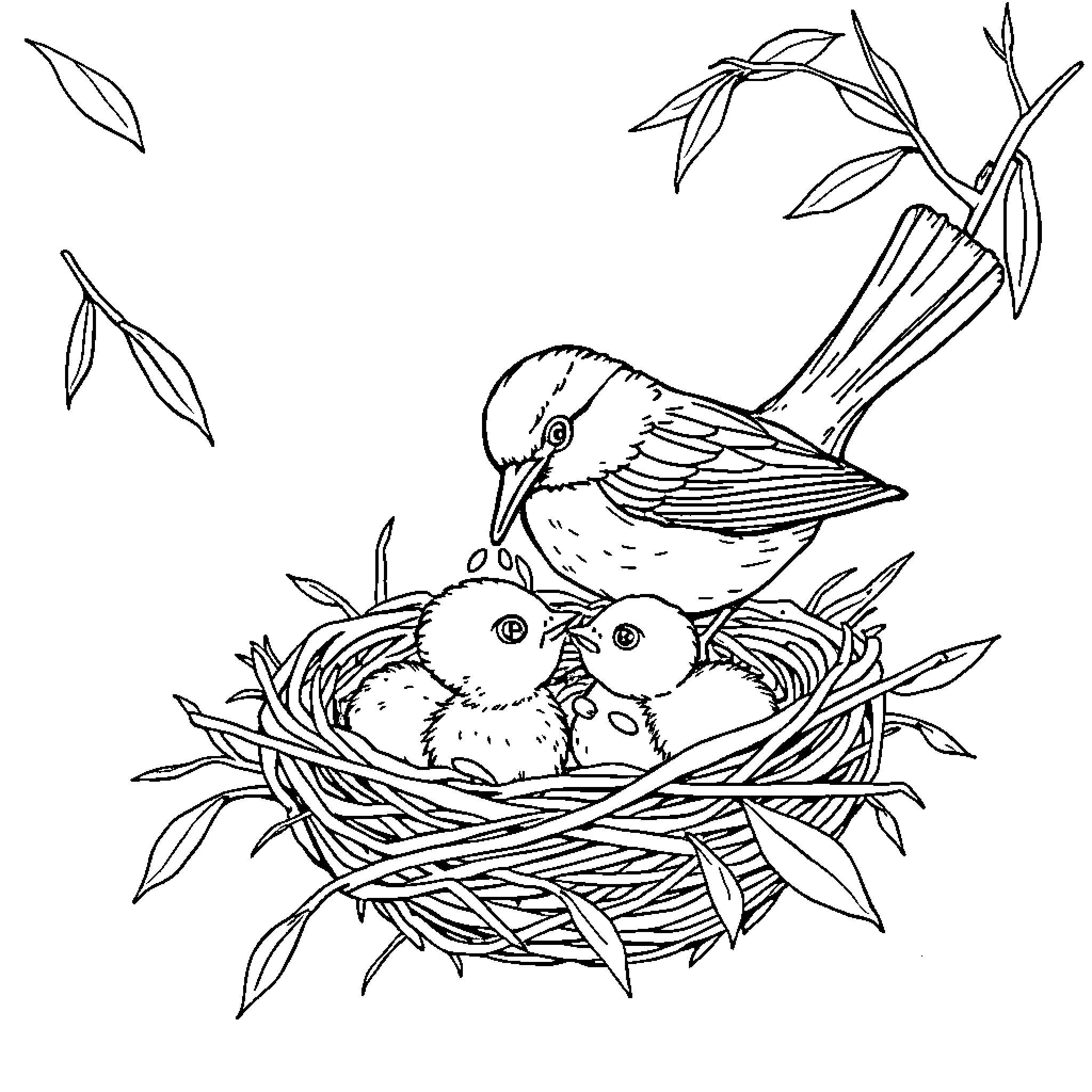 Sparrow tending to its nest with chicks Coloring Page (free black-and-white line drawing printable PDF for all, from beginners to advanced learners, including children, teens, adults, and seniors)