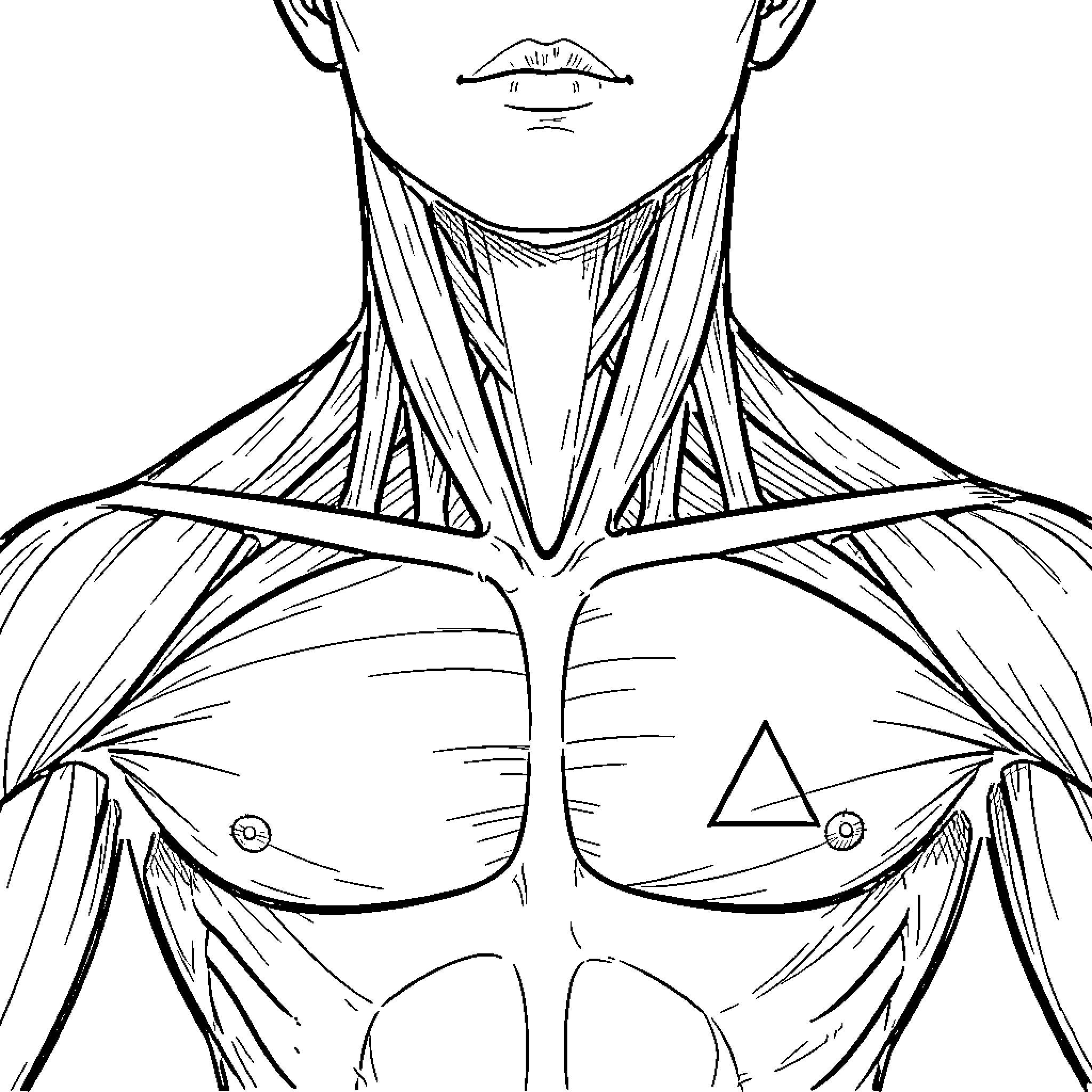 Neck Anatomy Revealed in Detailed Sketch Coloring Page (free black-and-white line drawing printable PDF for all, from beginners to advanced learners, including children, teens, adults, and seniors)