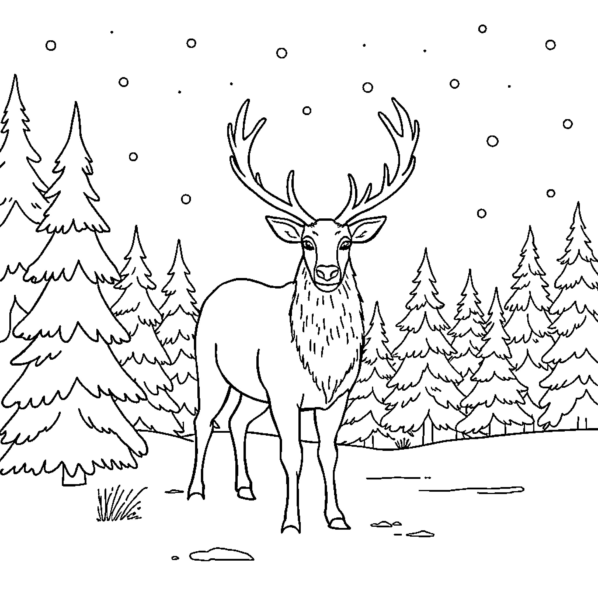 Reindeer standing majestically in snowy forest Coloring Page (free black-and-white line drawing printable PDF for all, from beginners to advanced learners, including children, teens, adults, and seniors)