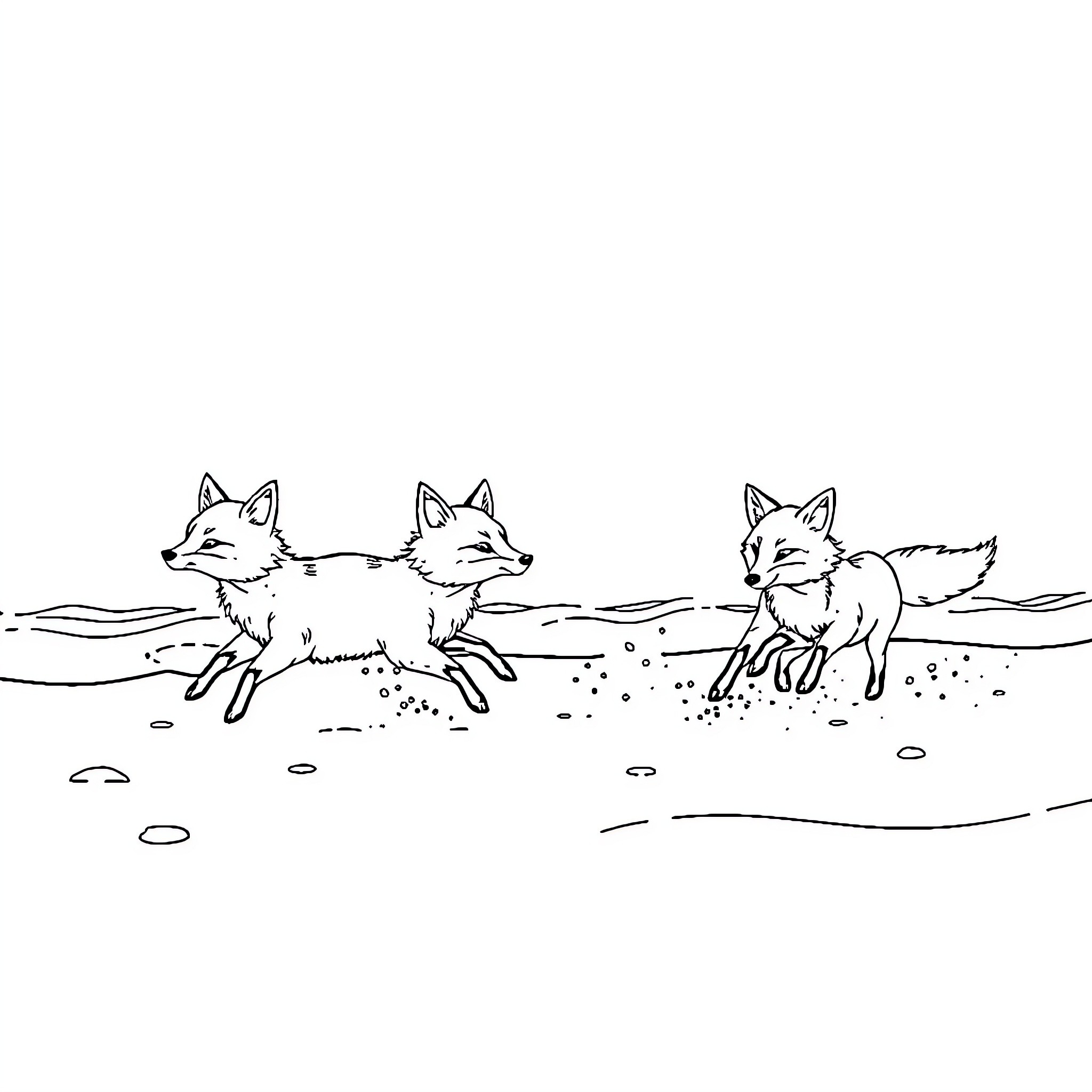 Fox trio frolicking in the snow Coloring Page (free black-and-white line drawing printable PDF for all, from beginners to advanced learners, including children, teens, adults, and seniors)