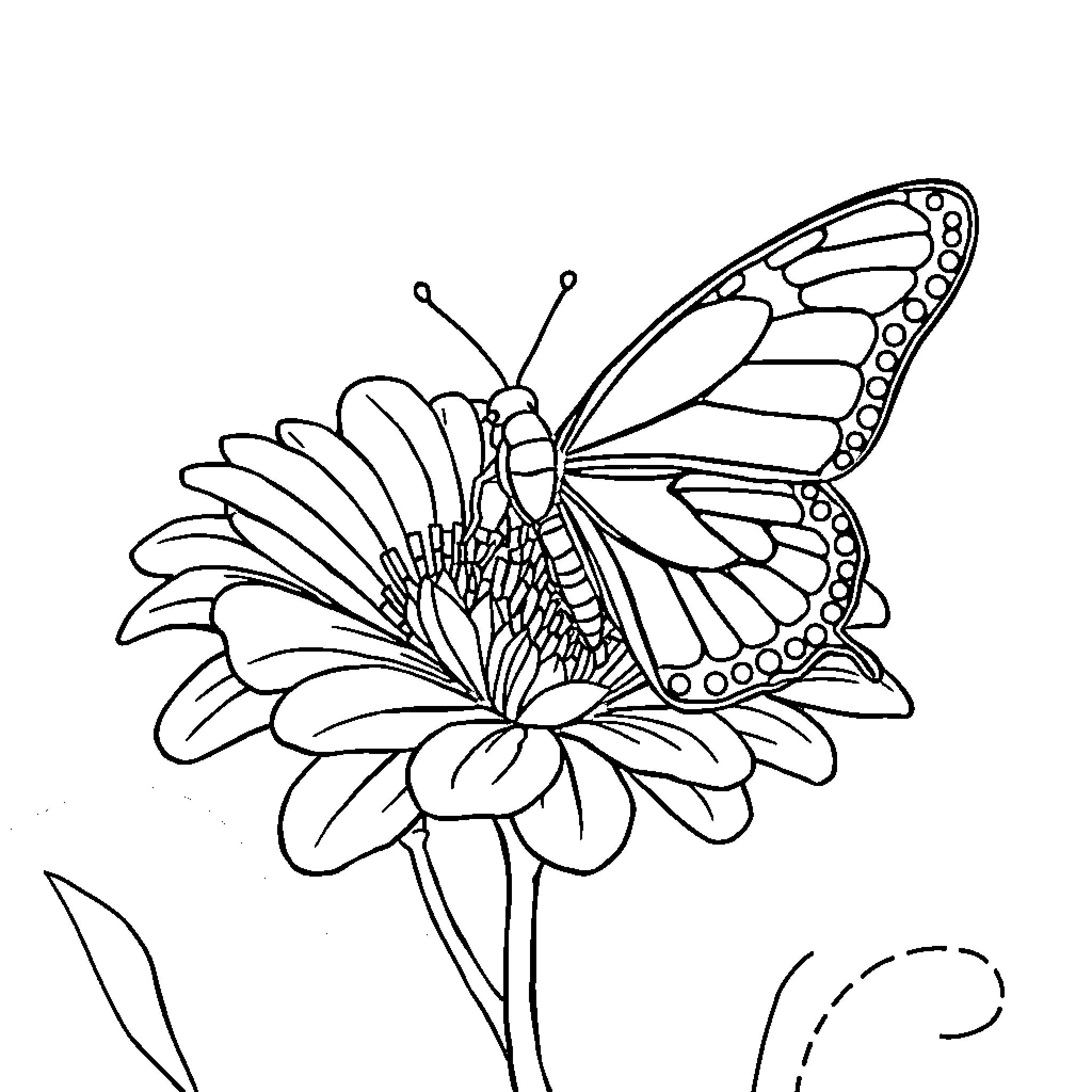 Butterfly resting on a flower Coloring Page (free black-and-white line drawing printable PDF for all, from beginners to advanced learners, including children, teens, adults, and seniors)