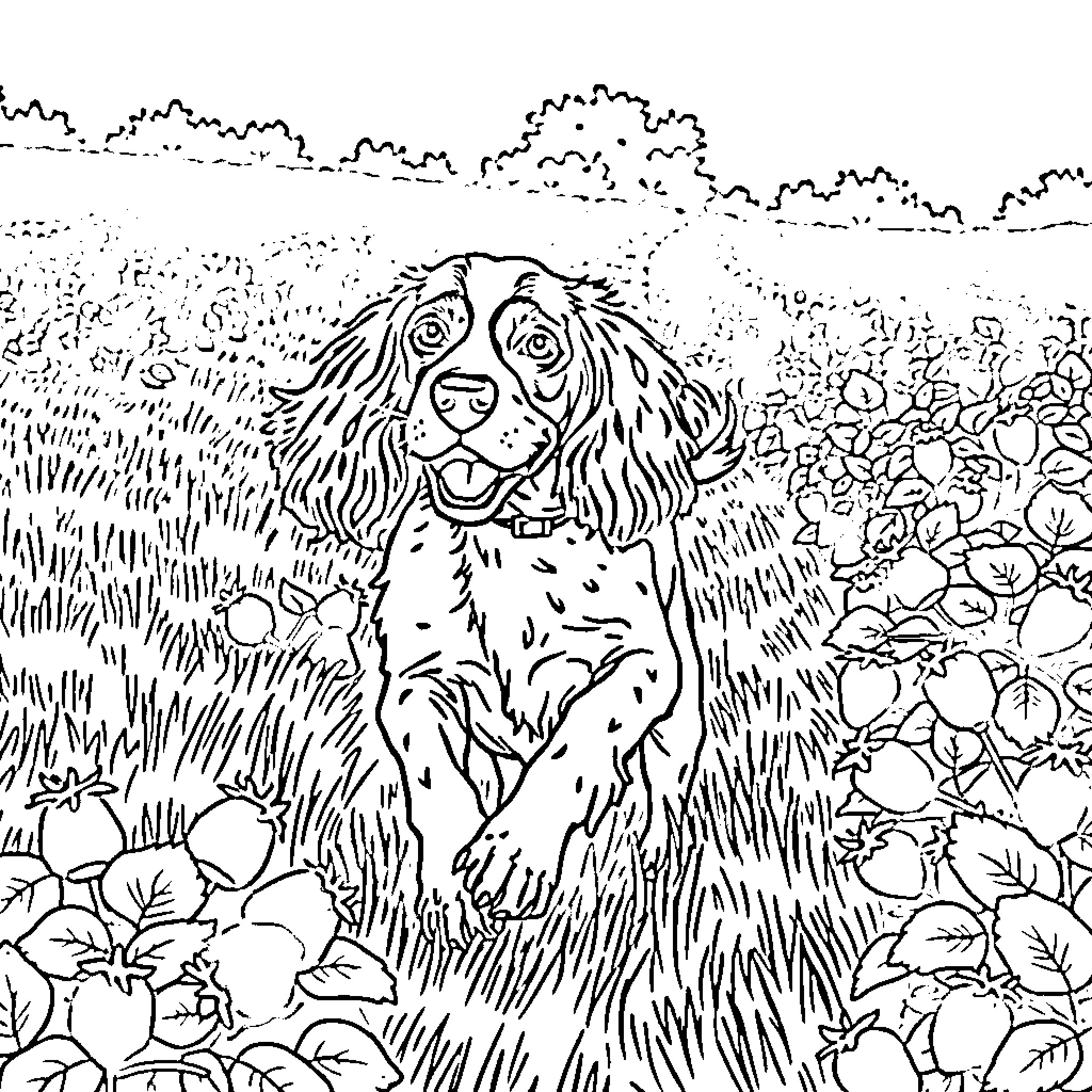 Clumber Spaniel exploring a lush, natural environment Coloring Page (free black-and-white line drawing printable PDF for all, from beginners to advanced learners, including children, teens, adults, and seniors)