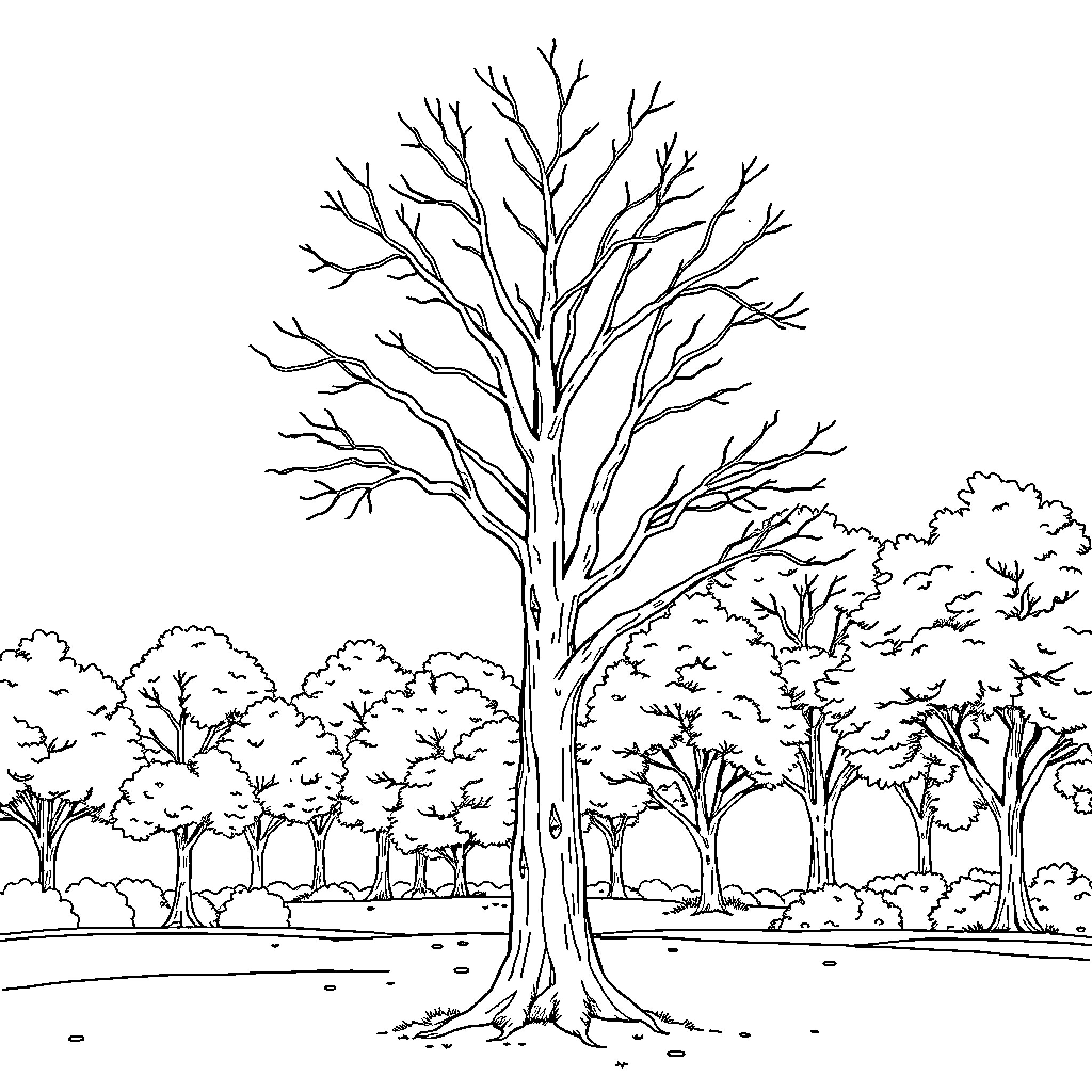 Tree in a Peaceful Forest Landscape Coloring Page (free black-and-white line drawing printable PDF for all, from beginners to advanced learners, including children, teens, adults, and seniors)