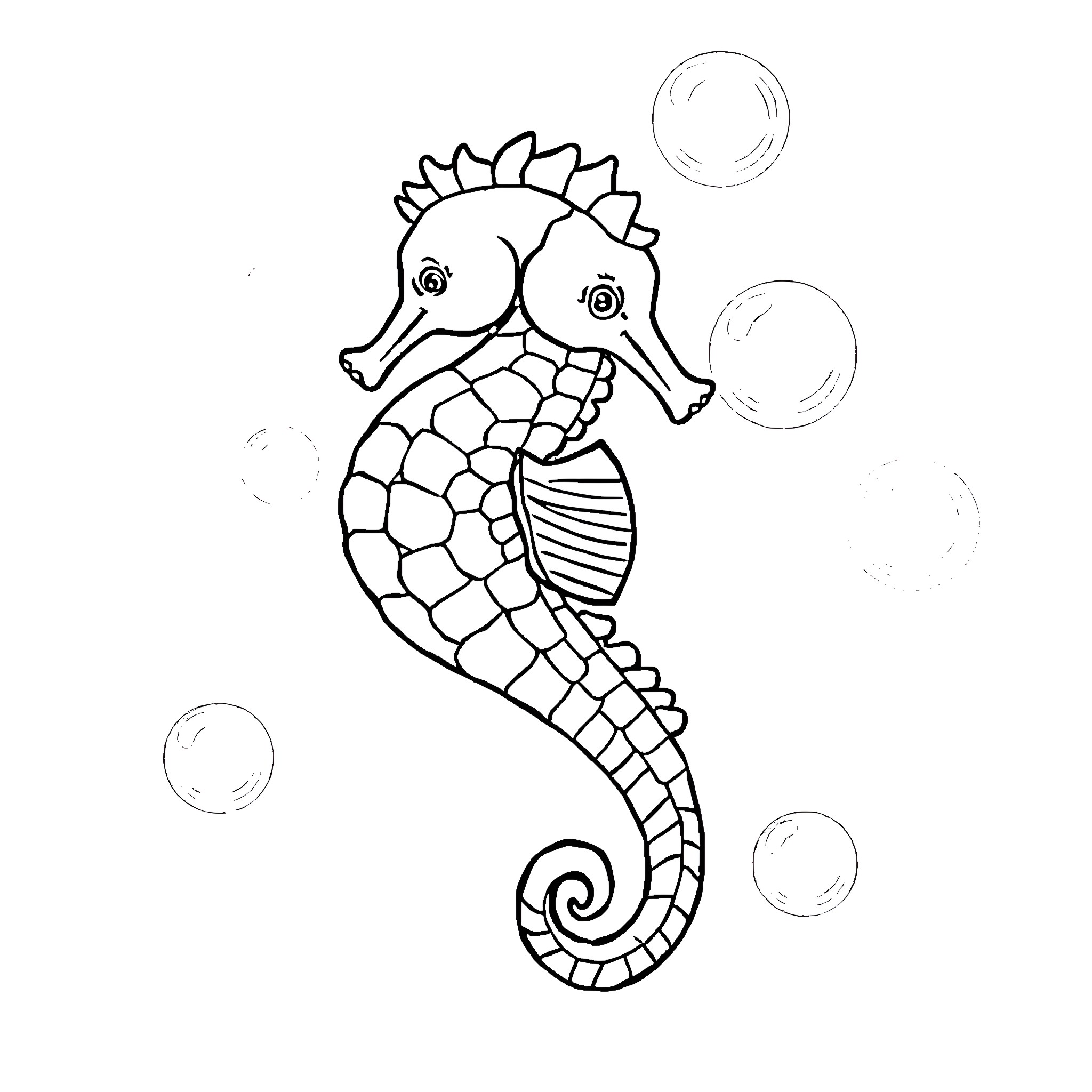 Seahorse swimming with bubbles Coloring Page (free black-and-white line drawing printable PDF for all, from beginners to advanced learners, including children, teens, adults, and seniors)