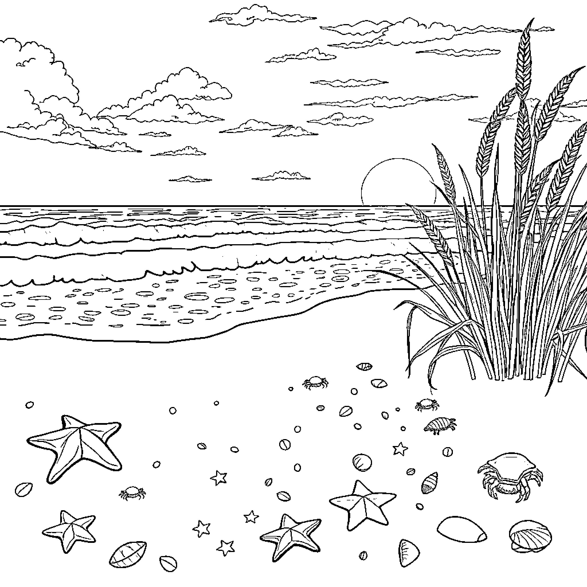 Beach scene with clouds, waves, and seashells Coloring Page (free black-and-white line drawing printable PDF for all, from beginners to advanced learners, including children, teens, adults, and seniors)