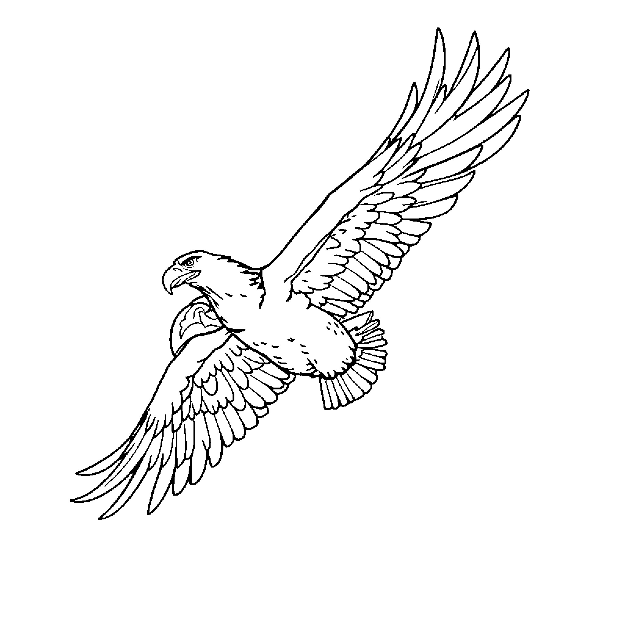 Eagle soaring with outstretched wings Coloring Page (free black-and-white line drawing printable PDF for all, from beginners to advanced learners, including children, teens, adults, and seniors)