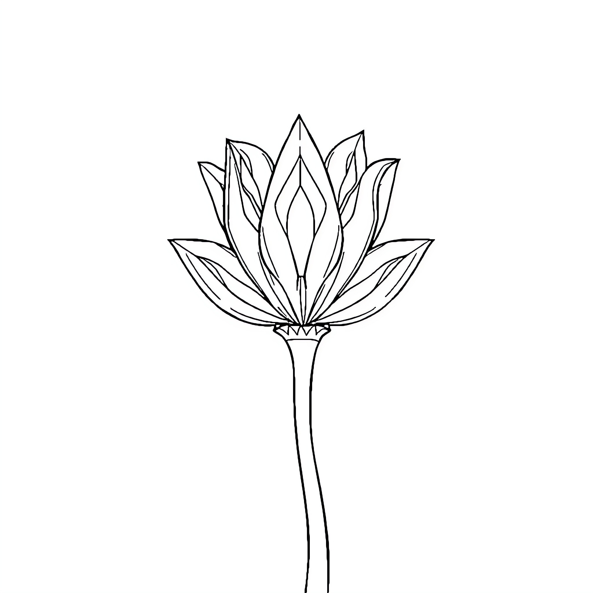 Task Minimalist Lotus Flower Sketch Coloring Page (free black-and-white line drawing printable PDF for all, from beginners to advanced learners, including children, teens, adults, and seniors)