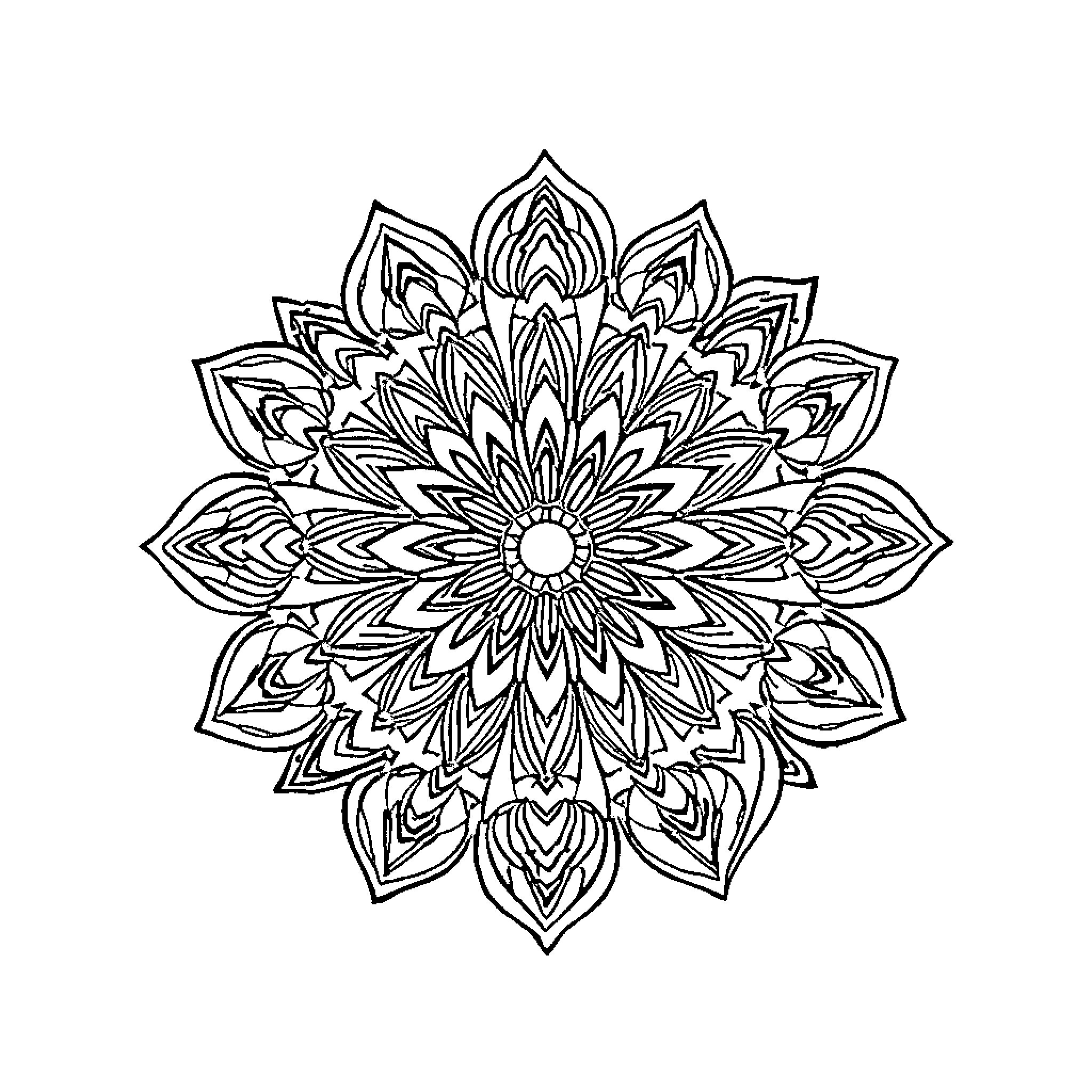 Mandala of intricate floral patterns Coloring Page (free black-and-white line drawing printable PDF for all, from beginners to advanced learners, including children, teens, adults, and seniors)