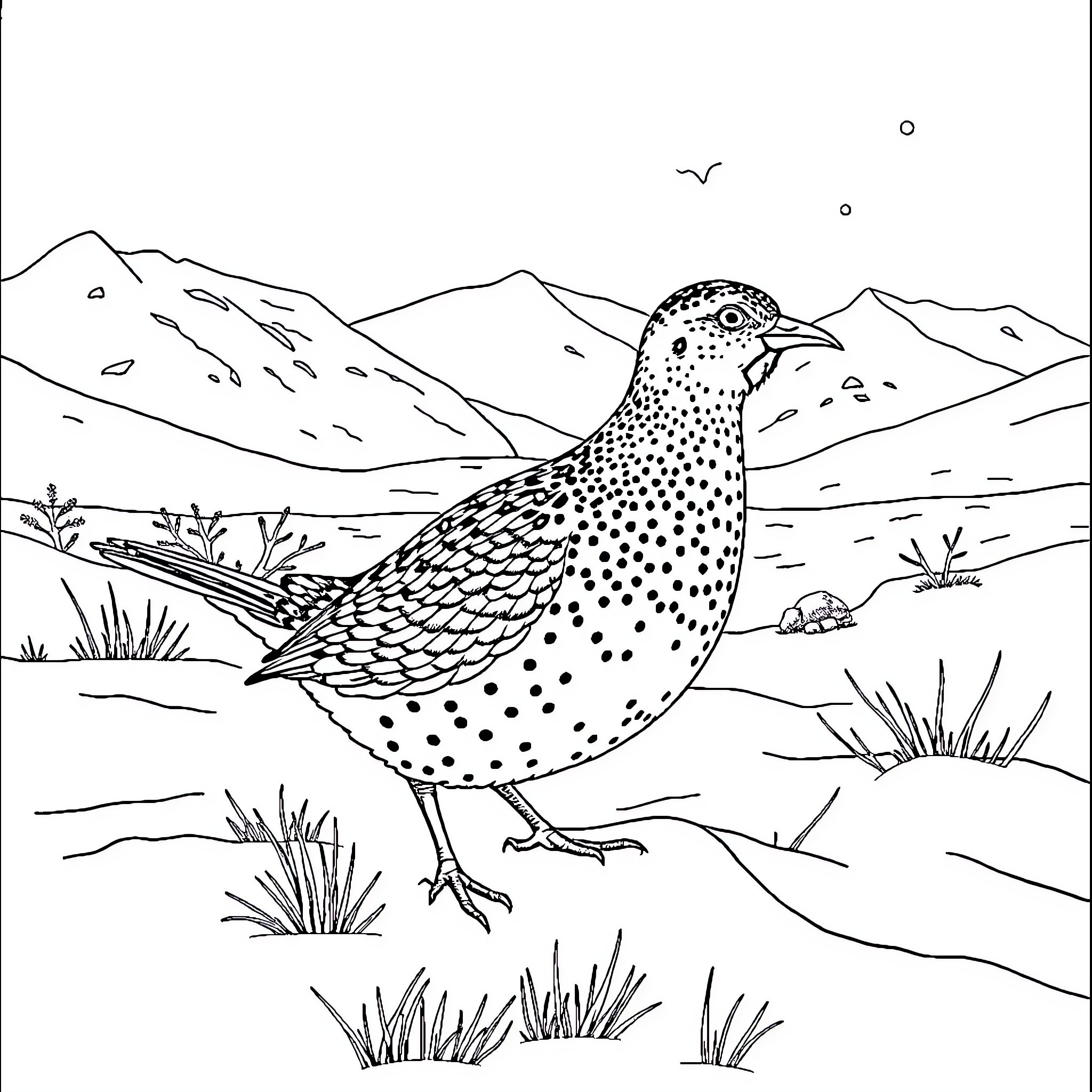 Ptarmigan perching in the mountain landscape Coloring Page (free black-and-white line drawing printable PDF for all, from beginners to advanced learners, including children, teens, adults, and seniors)