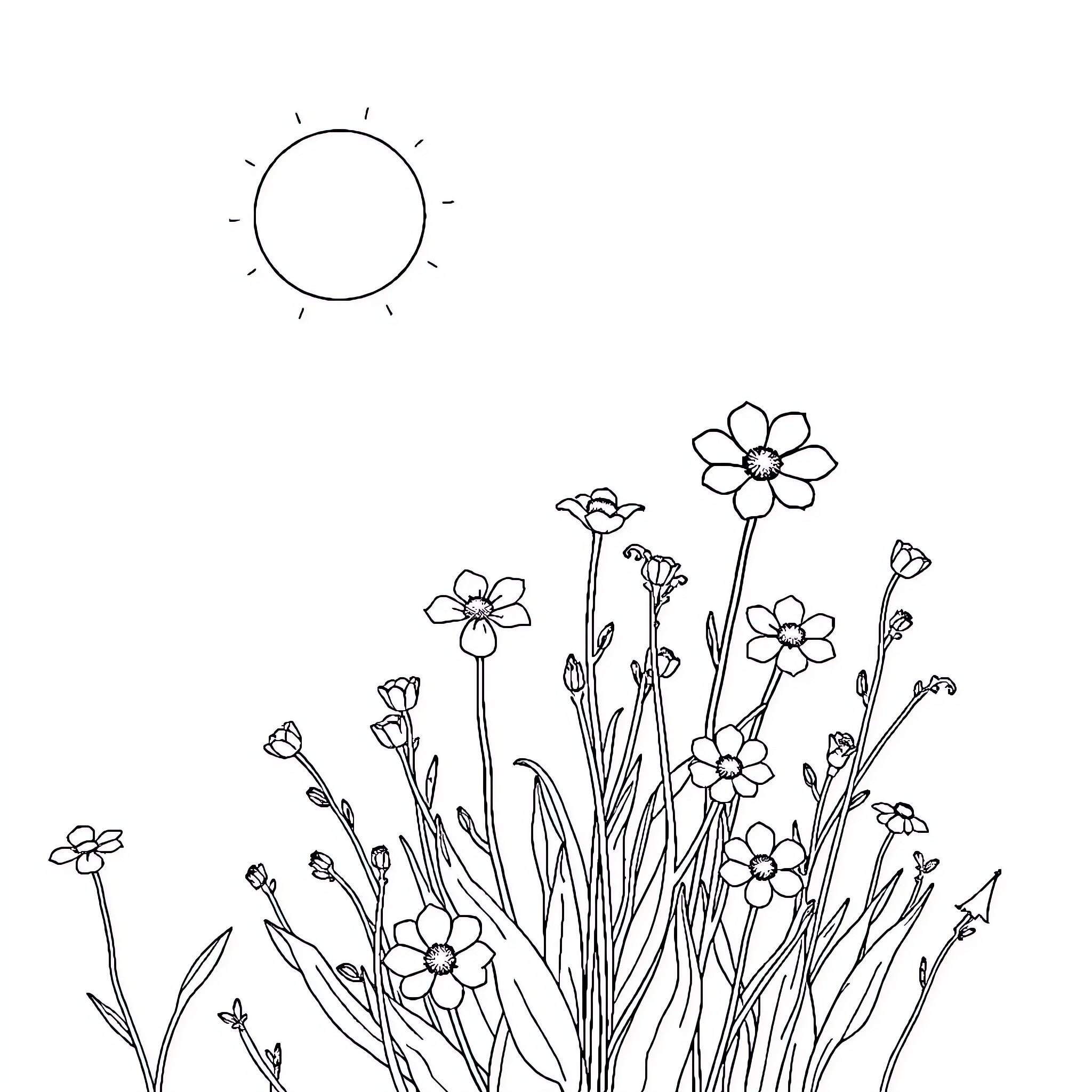Flower Garden with Sun in Monochrome Coloring Page (free black-and-white line drawing printable PDF for all, from beginners to advanced learners, including children, teens, adults, and seniors)
