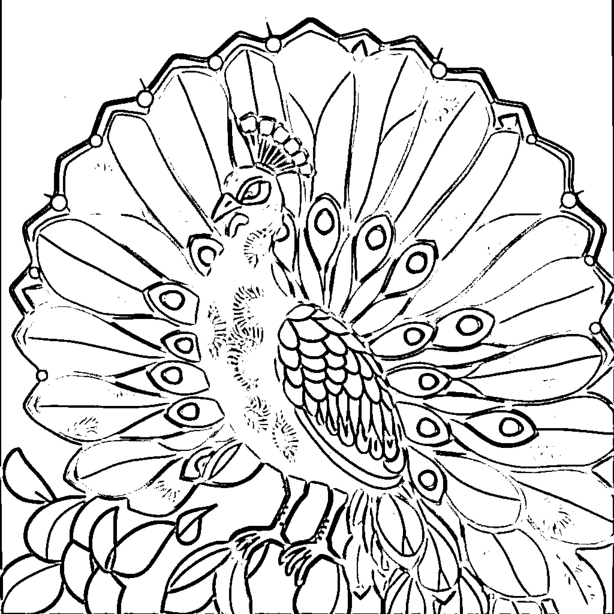 Peacock displaying its magnificent feathers Coloring Page (free black-and-white line drawing printable PDF for all, from beginners to advanced learners, including children, teens, adults, and seniors)