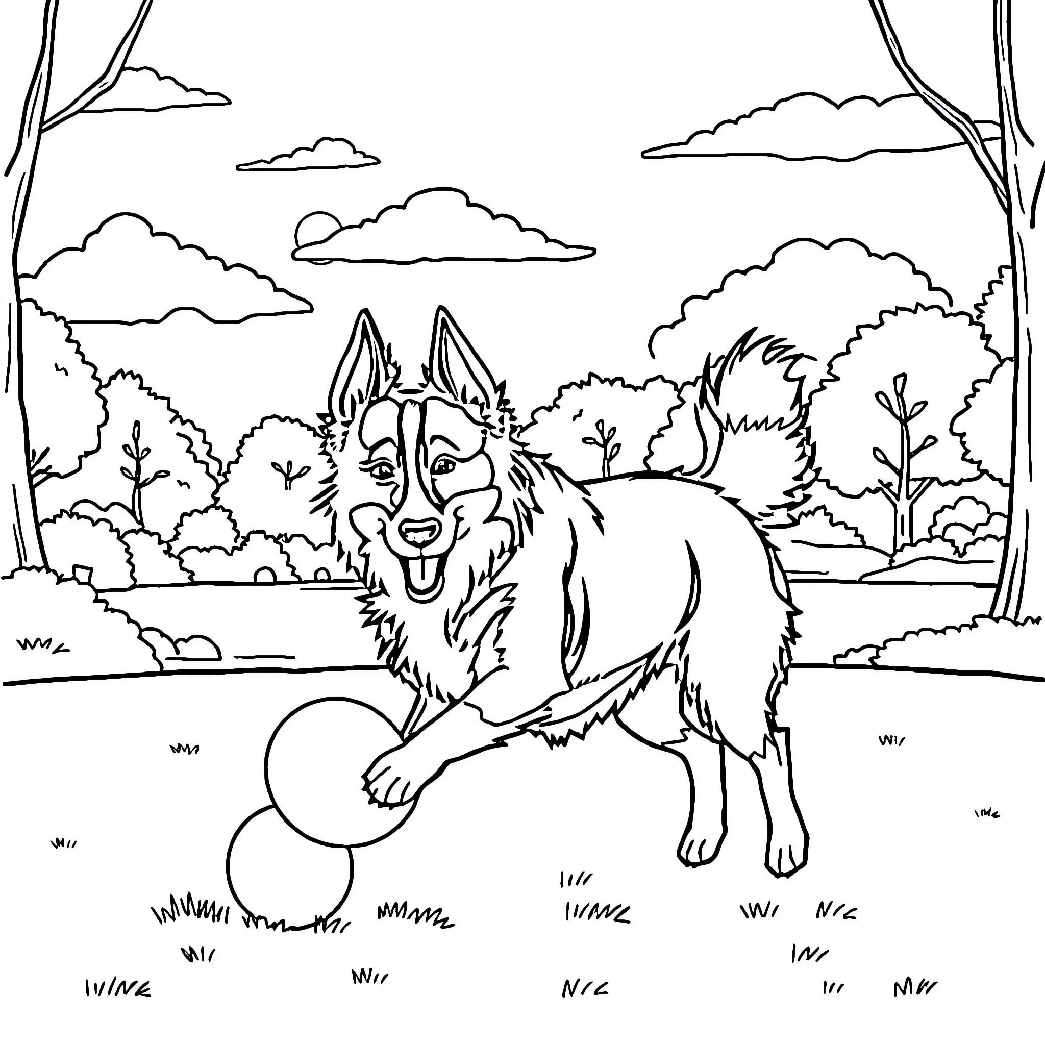 Border Collie playing in the forest Coloring Page (free black-and-white line drawing printable PDF for all, from beginners to advanced learners, including children, teens, adults, and seniors)