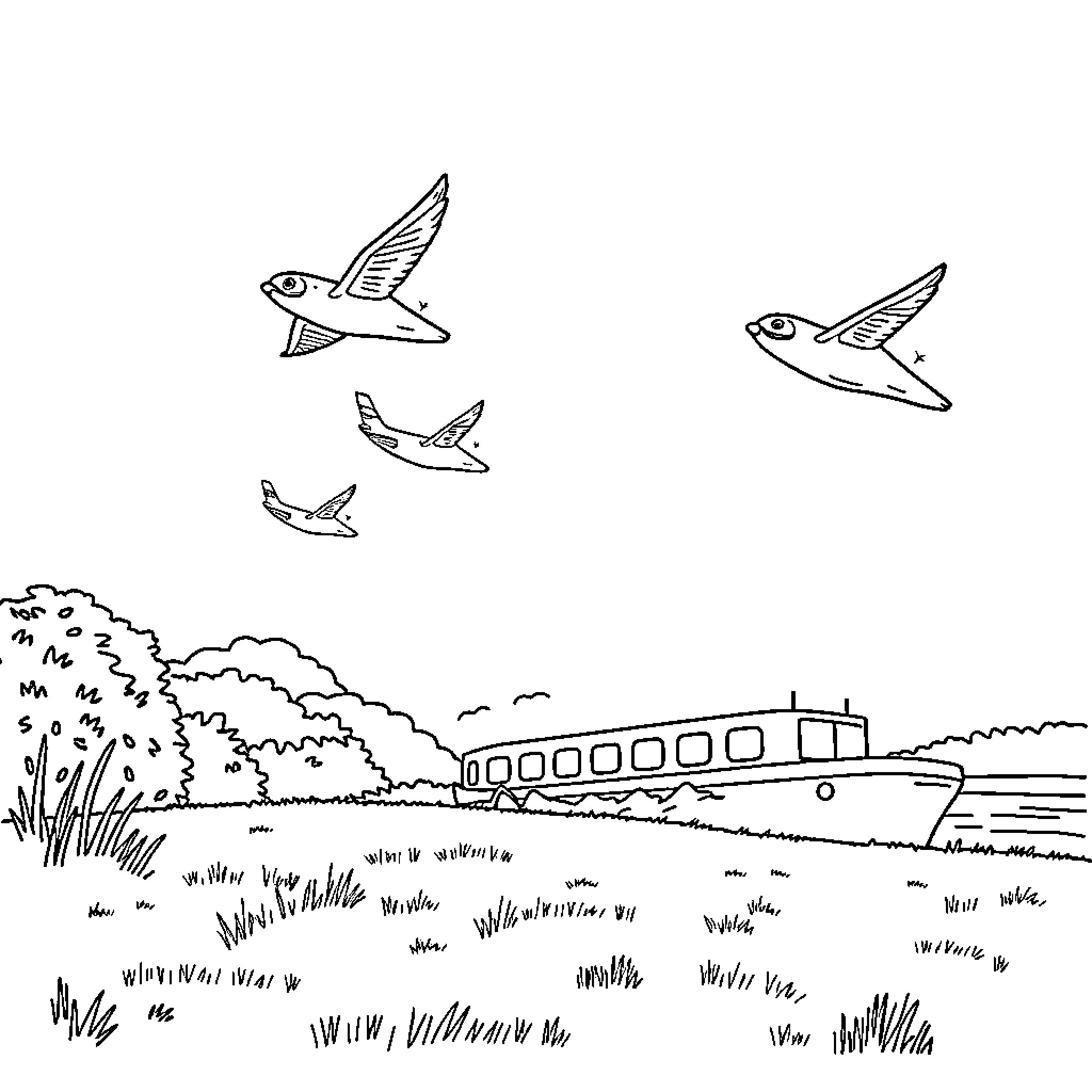 Ferry Crossing Scenic Waterway with Flying Birds Coloring Page (free black-and-white line drawing printable PDF for all, from beginners to advanced learners, including children, teens, adults, and seniors)