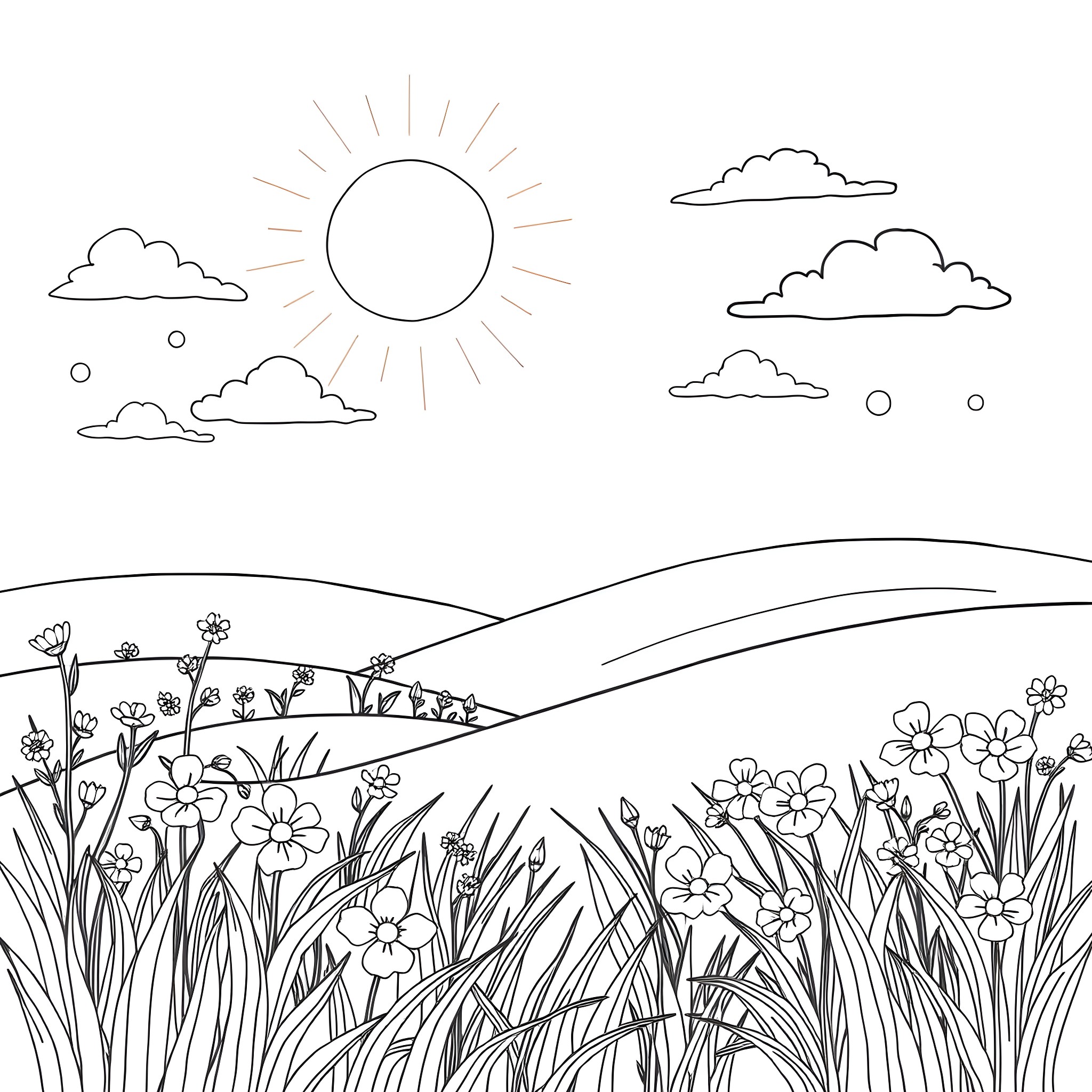 Sunshine on a flower-filled meadow Coloring Page (free black-and-white line drawing printable PDF for all, from beginners to advanced learners, including children, teens, adults, and seniors)