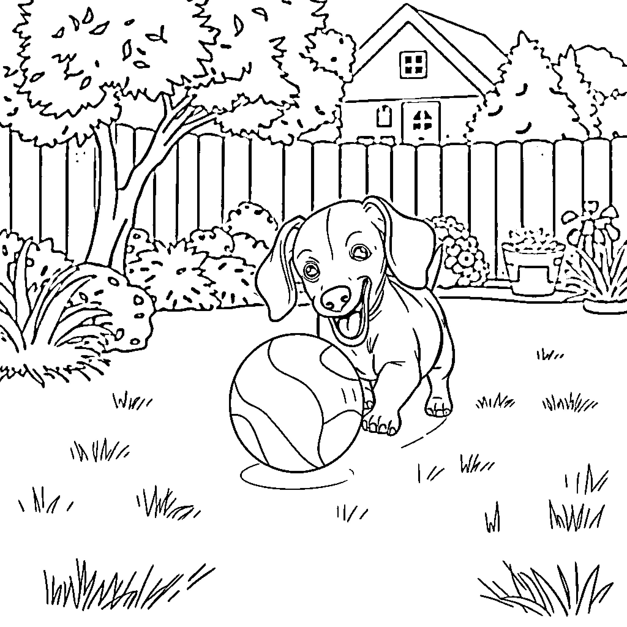 Dachshund playing in the backyard Coloring Page (free black-and-white line drawing printable PDF for all, from beginners to advanced learners, including children, teens, adults, and seniors)