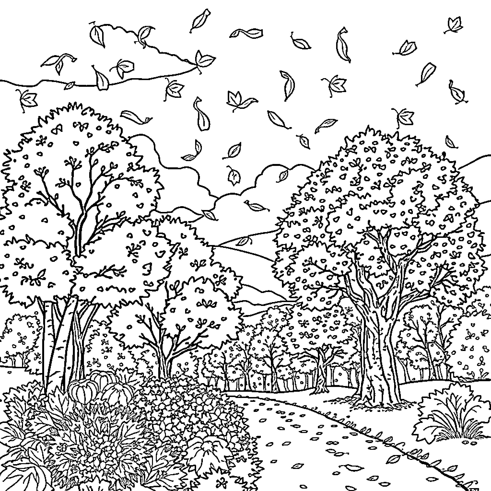 Autumn Scenery with Falling Leaves and Paths Coloring Page (free black-and-white line drawing printable PDF for all, from beginners to advanced learners, including children, teens, adults, and seniors)