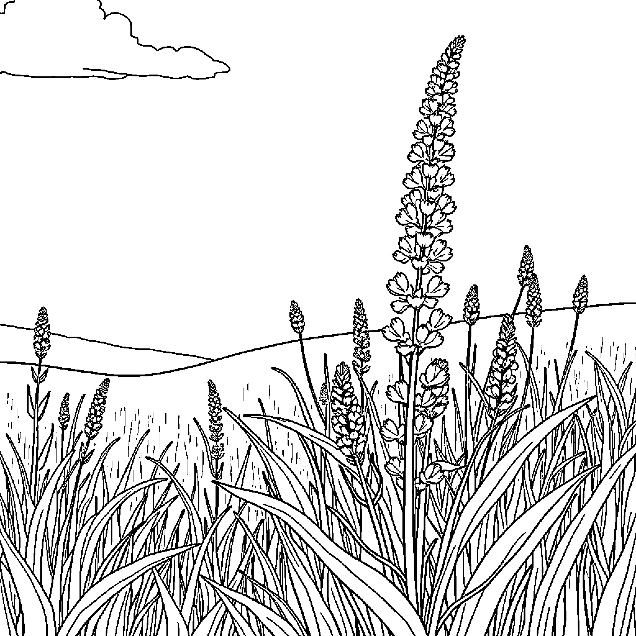 Weed growing in a tranquil countryside scene Coloring Page (free black-and-white line drawing printable PDF for all, from beginners to advanced learners, including children, teens, adults, and seniors)