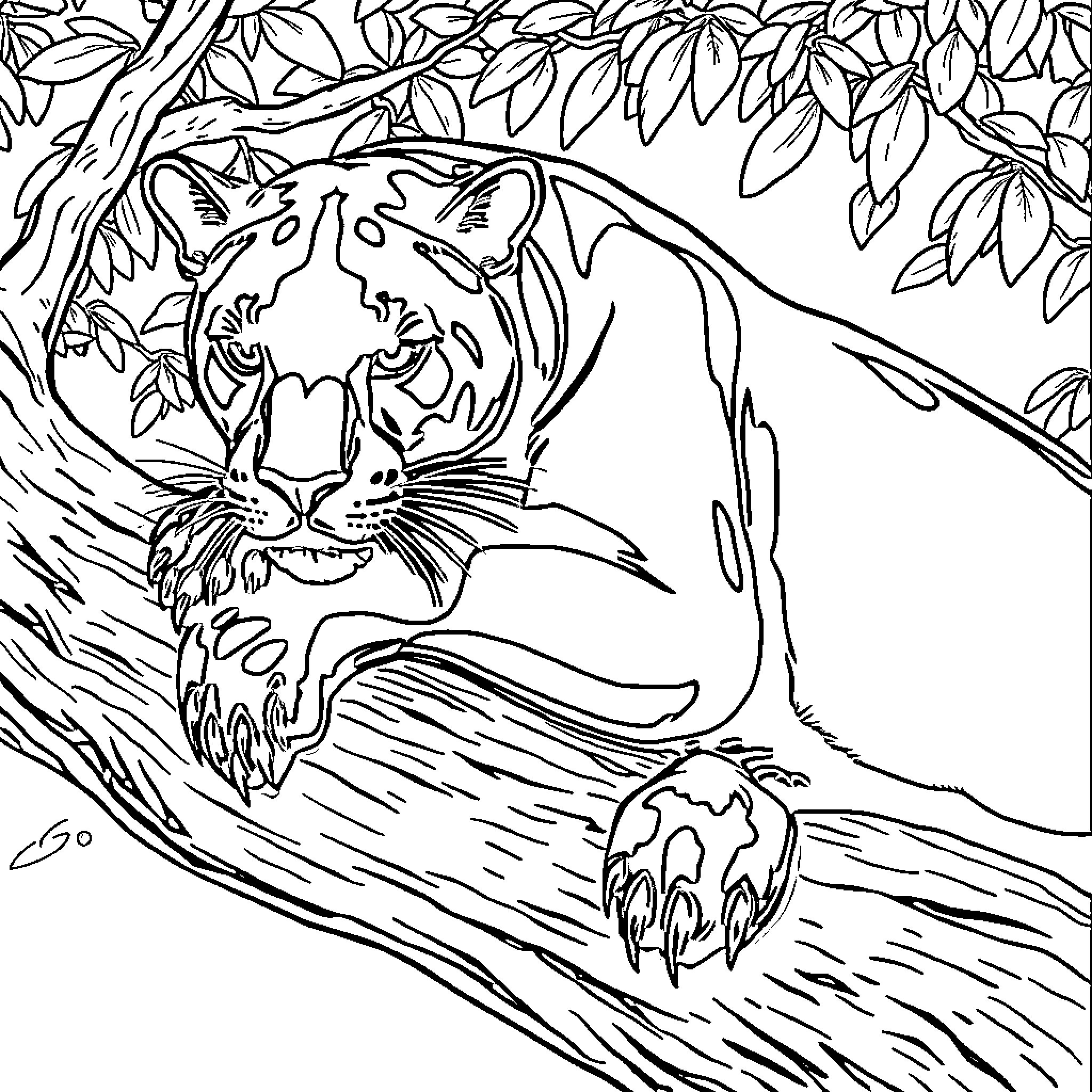 Panther stalking its prey in the wild Coloring Page (free black-and-white line drawing printable PDF for all, from beginners to advanced learners, including children, teens, adults, and seniors)