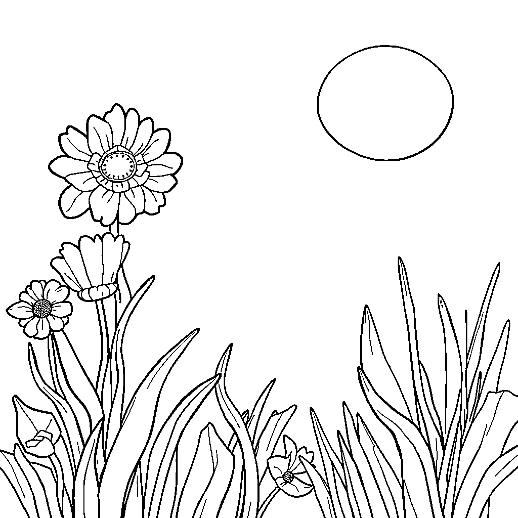 Flowers and grass in a garden Coloring Page (free black-and-white line drawing printable PDF for all, from beginners to advanced learners, including children, teens, adults, and seniors)