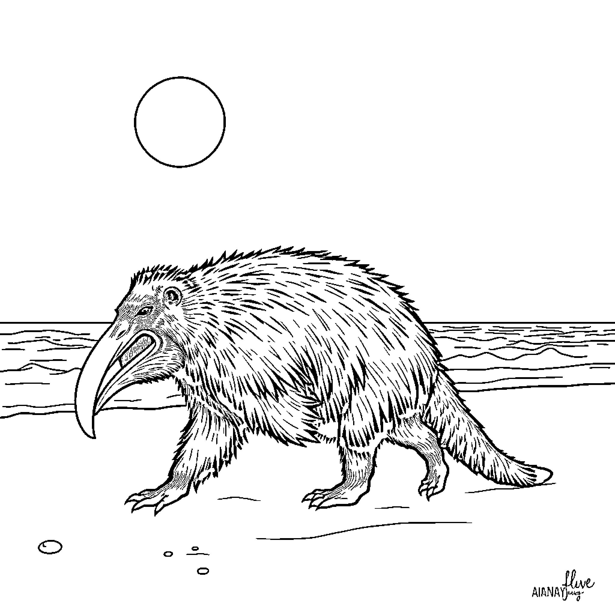 Anteater exploring the shoreline Coloring Page (free black-and-white line drawing printable PDF for all, from beginners to advanced learners, including children, teens, adults, and seniors)