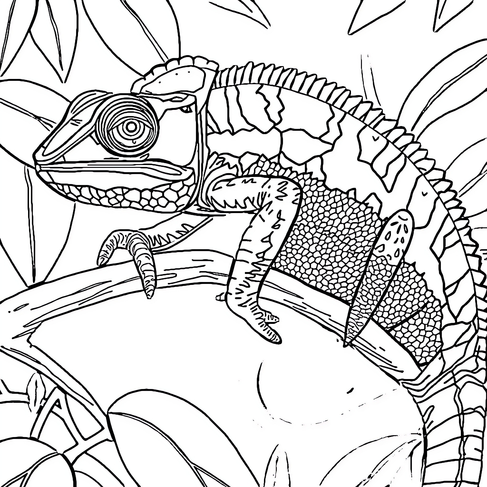 Chameleon exploring the lush greenery Coloring Page (free black-and-white line drawing printable PDF for all, from beginners to advanced learners, including children, teens, adults, and seniors)