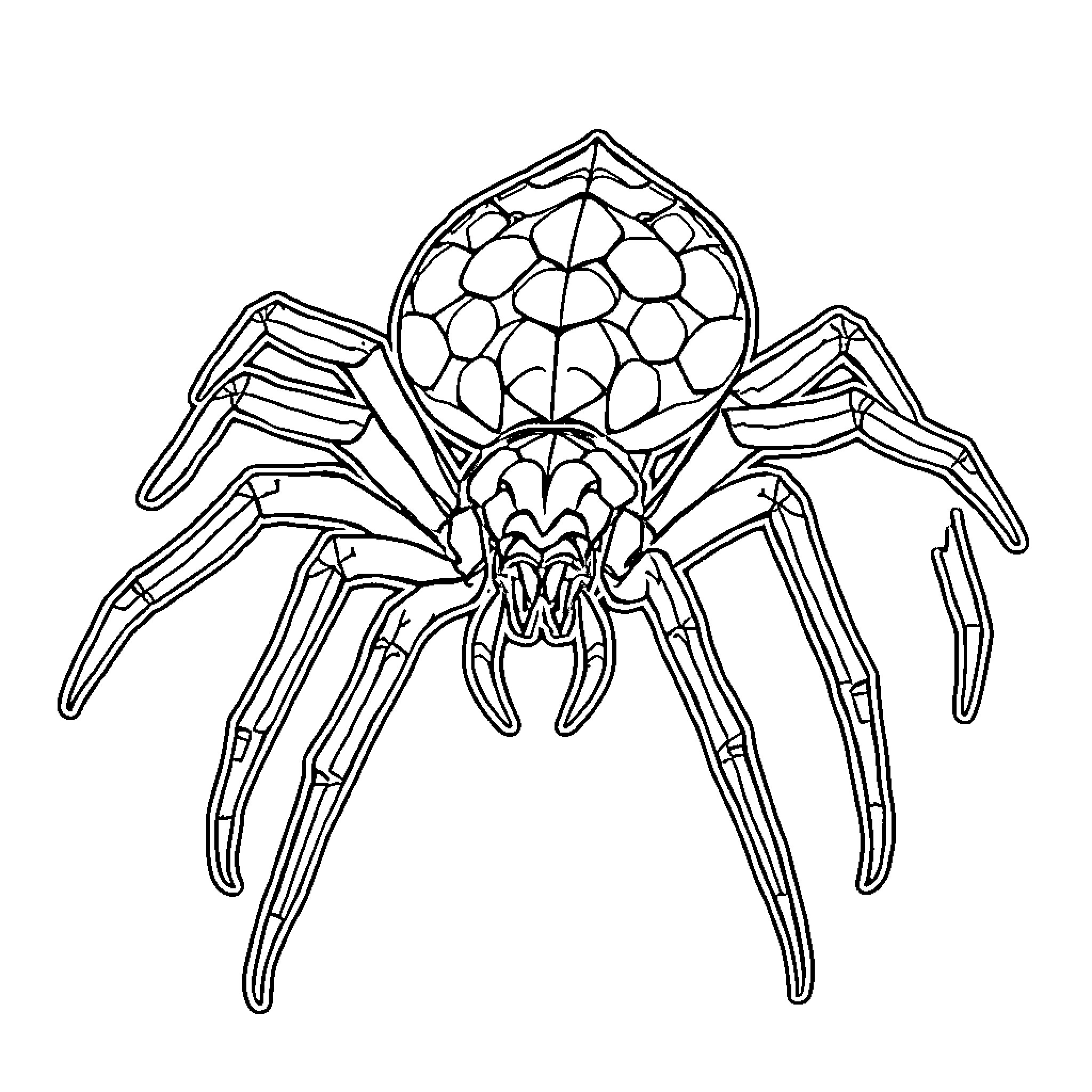 Dragon Spider with Geometric Exoskeleton Coloring Page (free black-and-white line drawing printable PDF for all, from beginners to advanced learners, including children, teens, adults, and seniors)