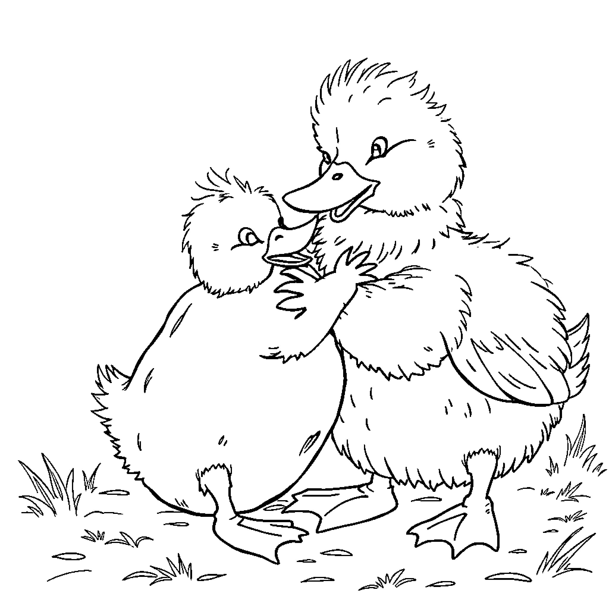 Duck Chicks Embracing in the Grass Coloring Page (free black-and-white line drawing printable PDF for all, from beginners to advanced learners, including children, teens, adults, and seniors)