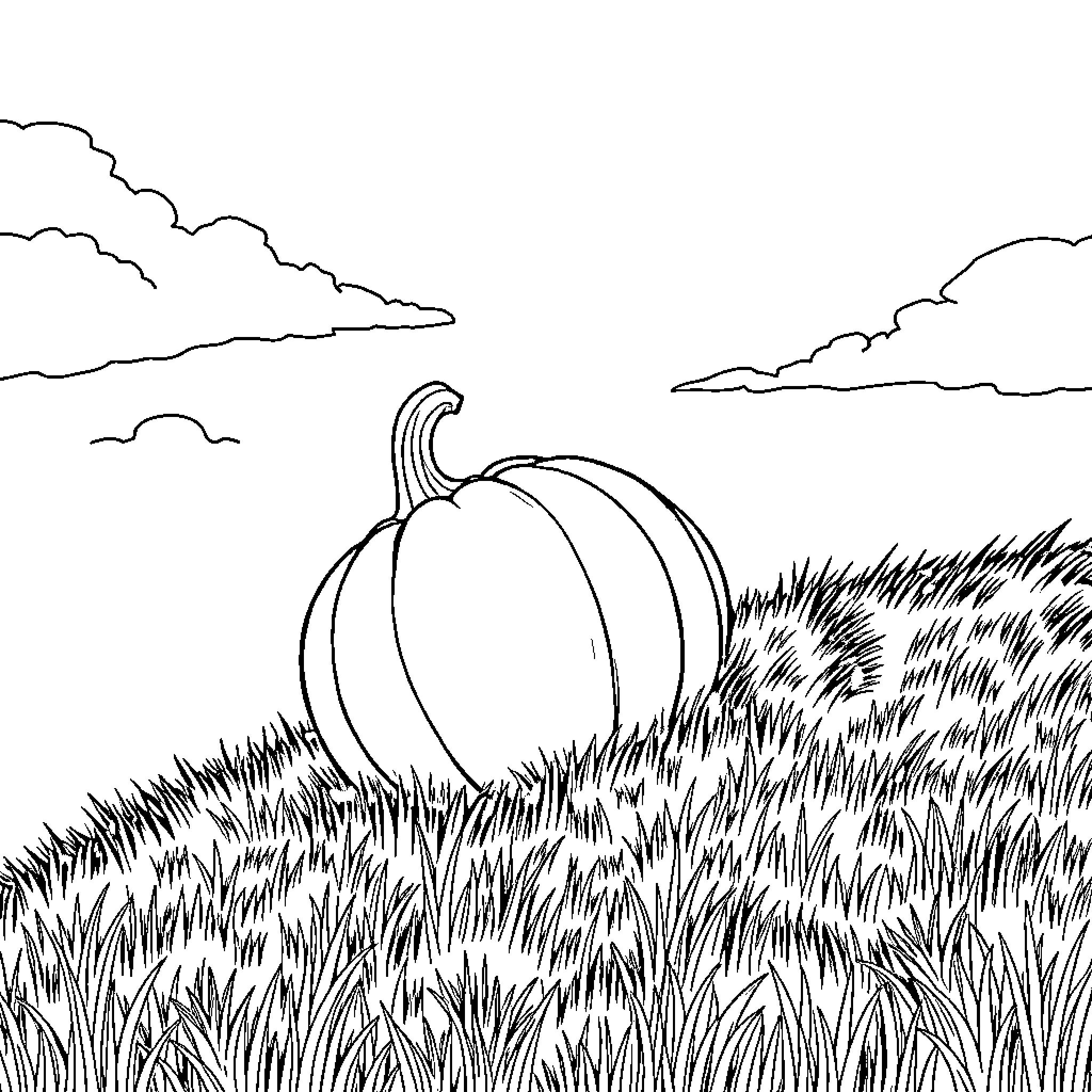 Pumpkin resting in autumn field Coloring Page (free black-and-white line drawing printable PDF for all, from beginners to advanced learners, including children, teens, adults, and seniors)