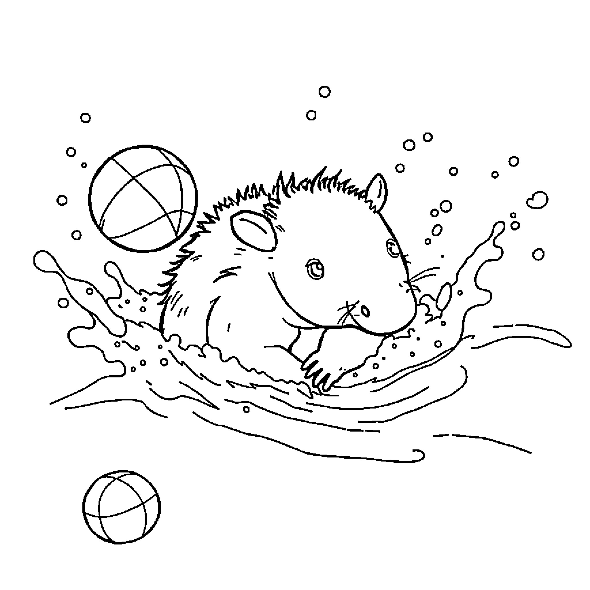 Platypus swimming playfully in the water Coloring Page (free black-and-white line drawing printable PDF for all, from beginners to advanced learners, including children, teens, adults, and seniors)