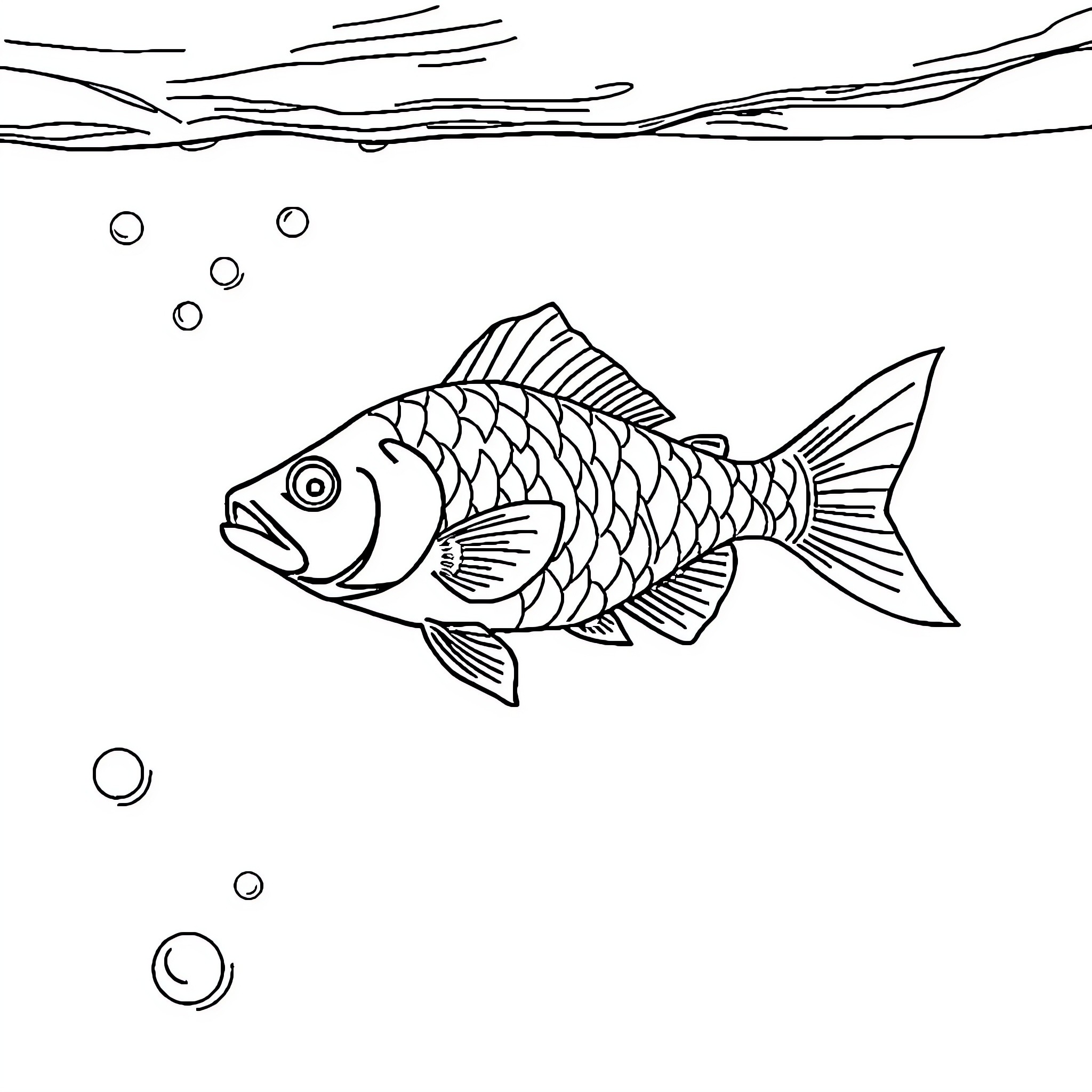 Fish swimming in the underwater scene Coloring Page (free black-and-white line drawing printable PDF for all, from beginners to advanced learners, including children, teens, adults, and seniors)