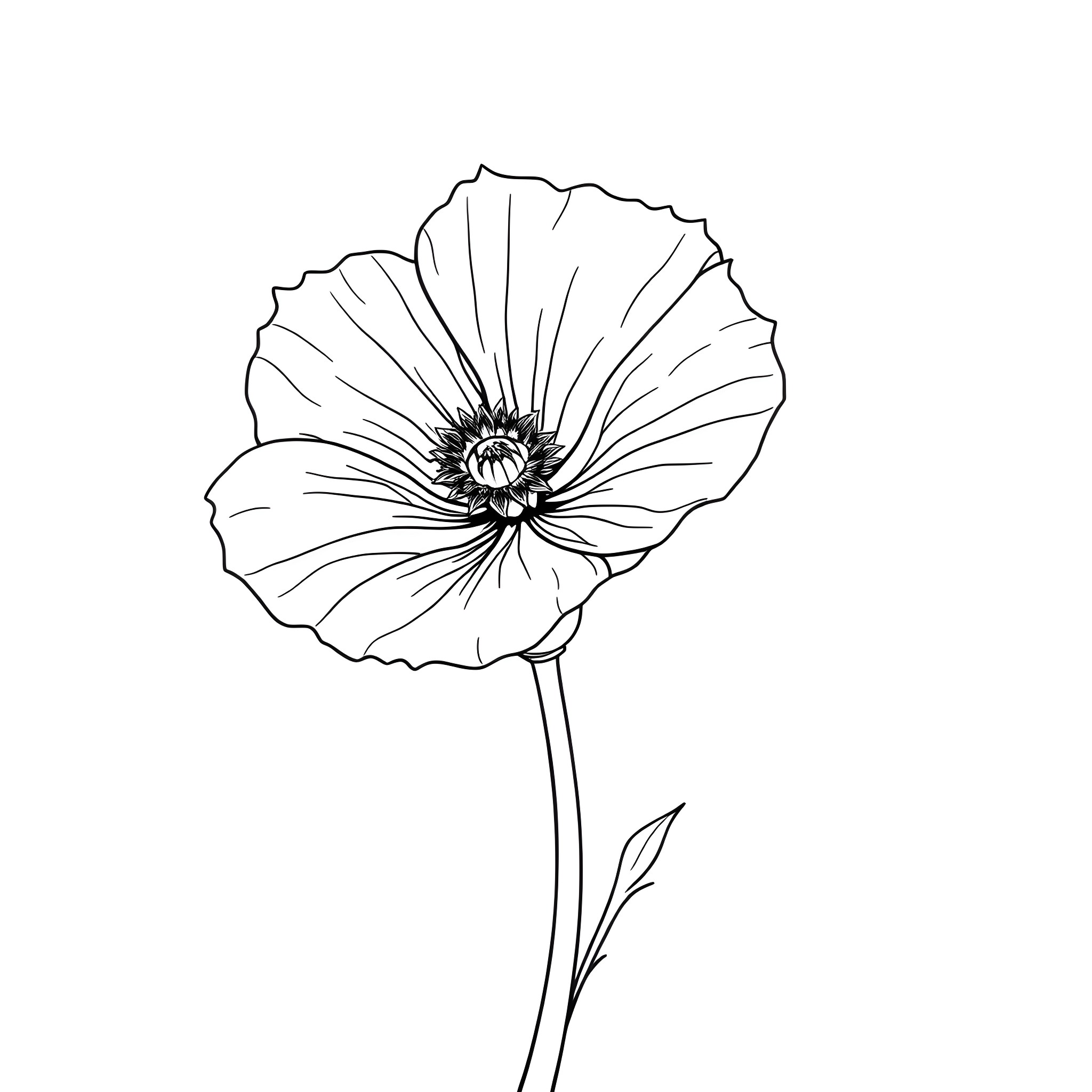 Ipomoea Purpurea floral illustration Coloring Page (free black-and-white line drawing printable PDF for all, from beginners to advanced learners, including children, teens, adults, and seniors)