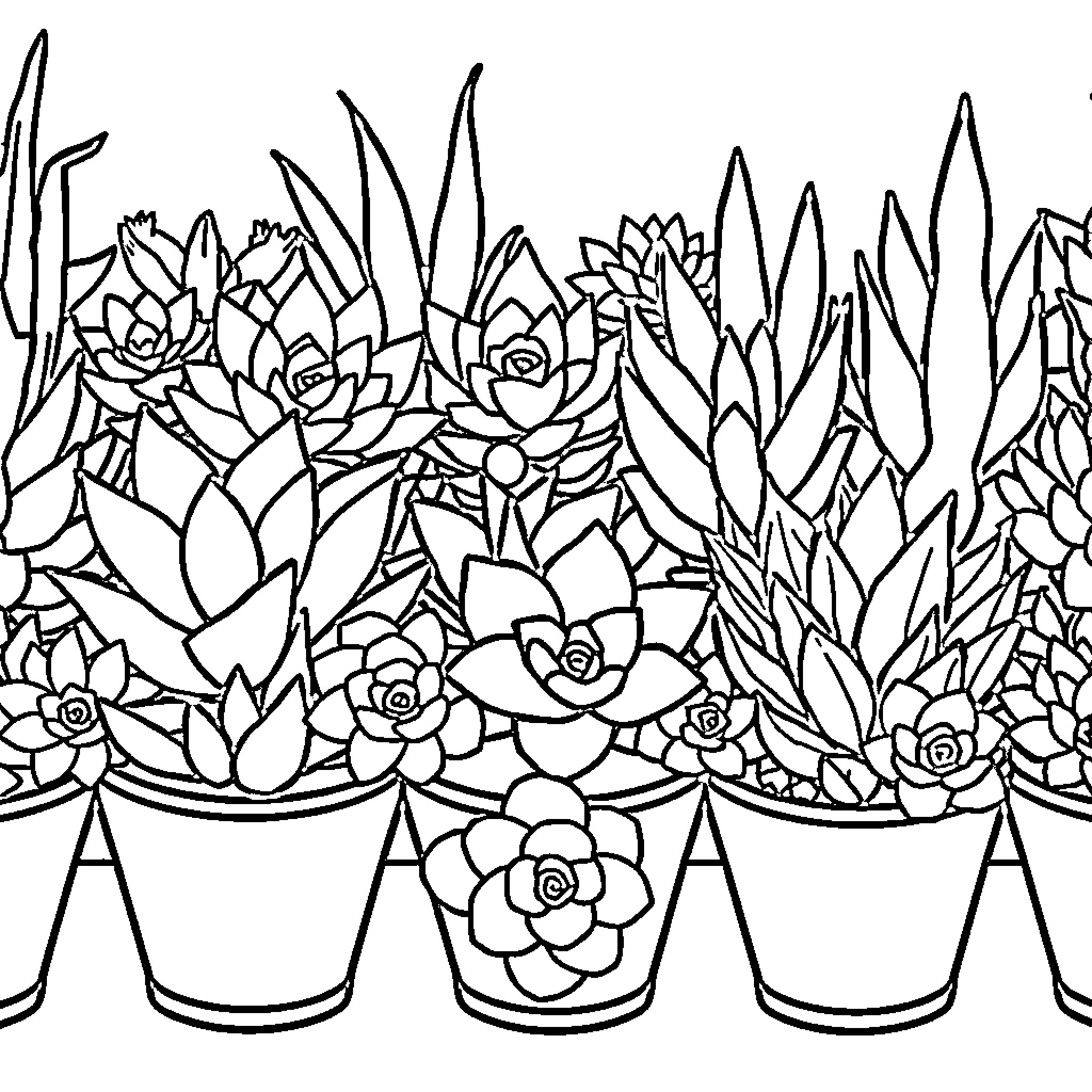 Succulent Plants in Pots Coloring Page (free black-and-white line drawing printable PDF for all, from beginners to advanced learners, including children, teens, adults, and seniors)