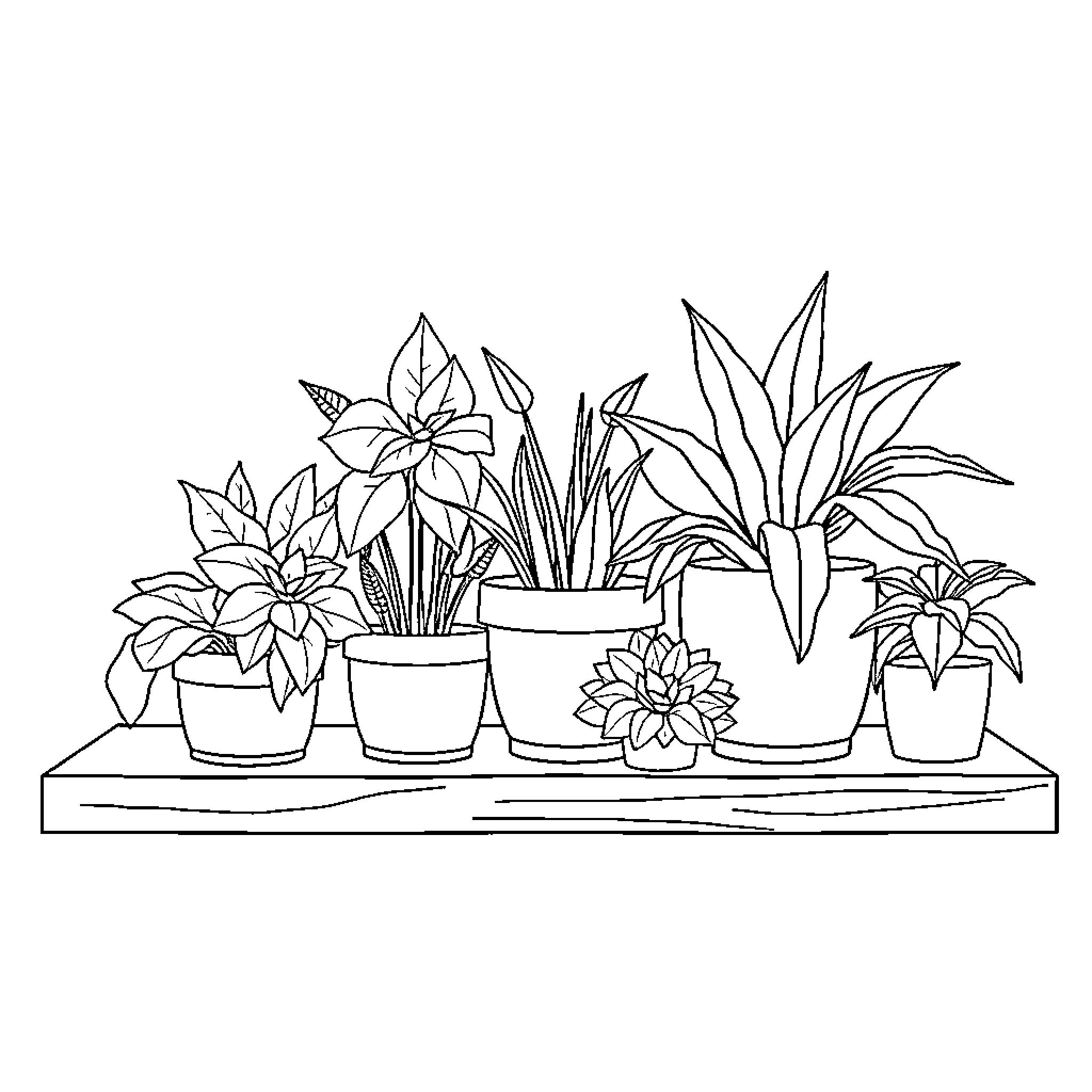 Plant Varieties Displayed on Shelves Coloring Page (free black-and-white line drawing printable PDF for all, from beginners to advanced learners, including children, teens, adults, and seniors)