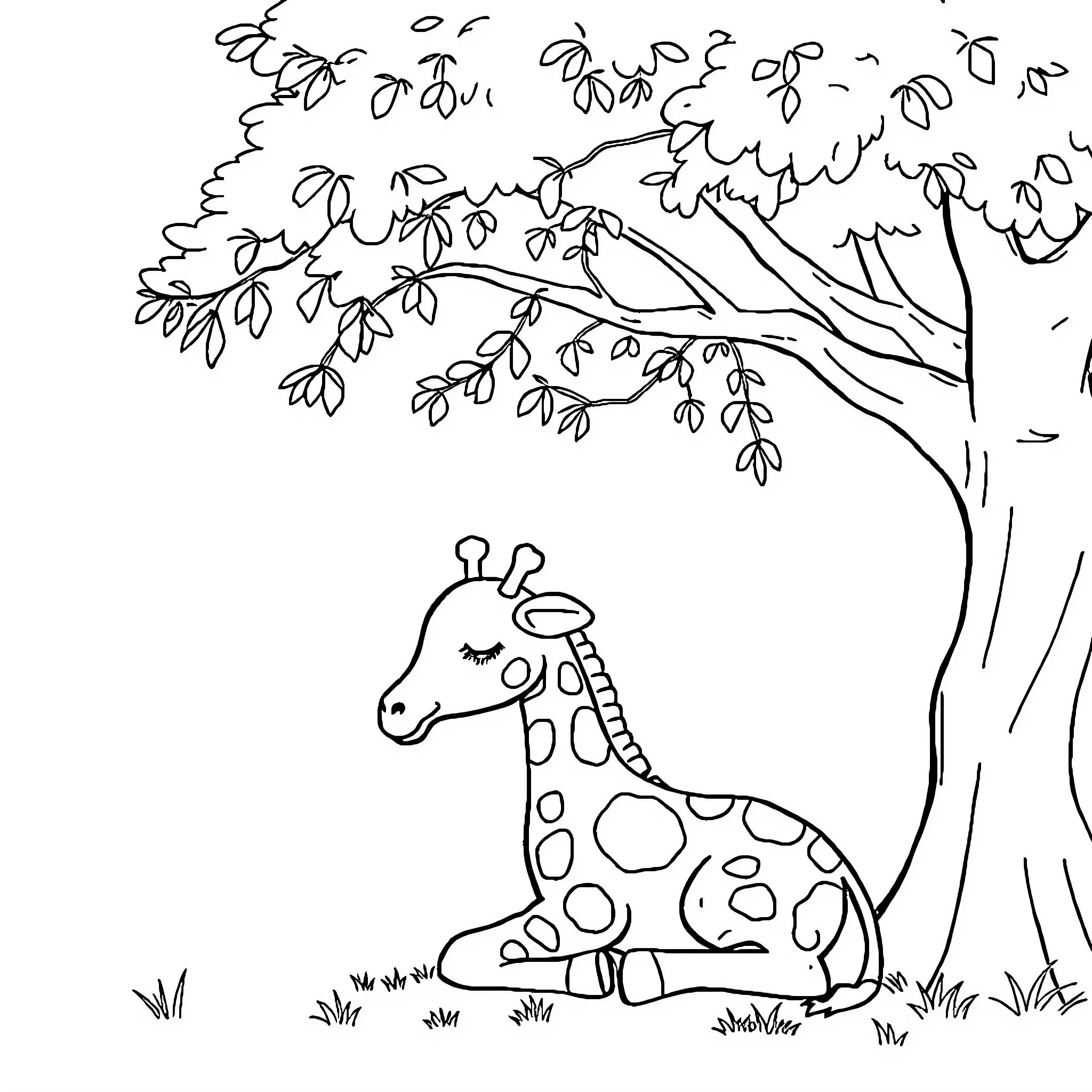 Giraffe sitting peacefully under a tree Coloring Page (free black-and-white line drawing printable PDF for all, from beginners to advanced learners, including children, teens, adults, and seniors)