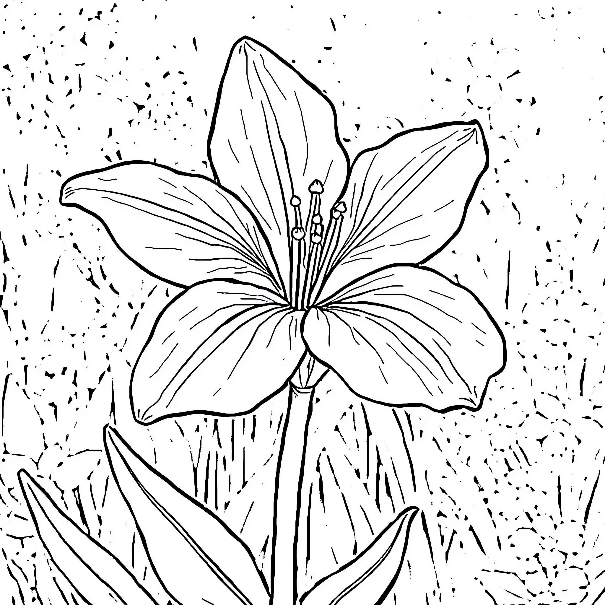 Bone flower blooming in the wild Coloring Page (free black-and-white line drawing printable PDF for all, from beginners to advanced learners, including children, teens, adults, and seniors)