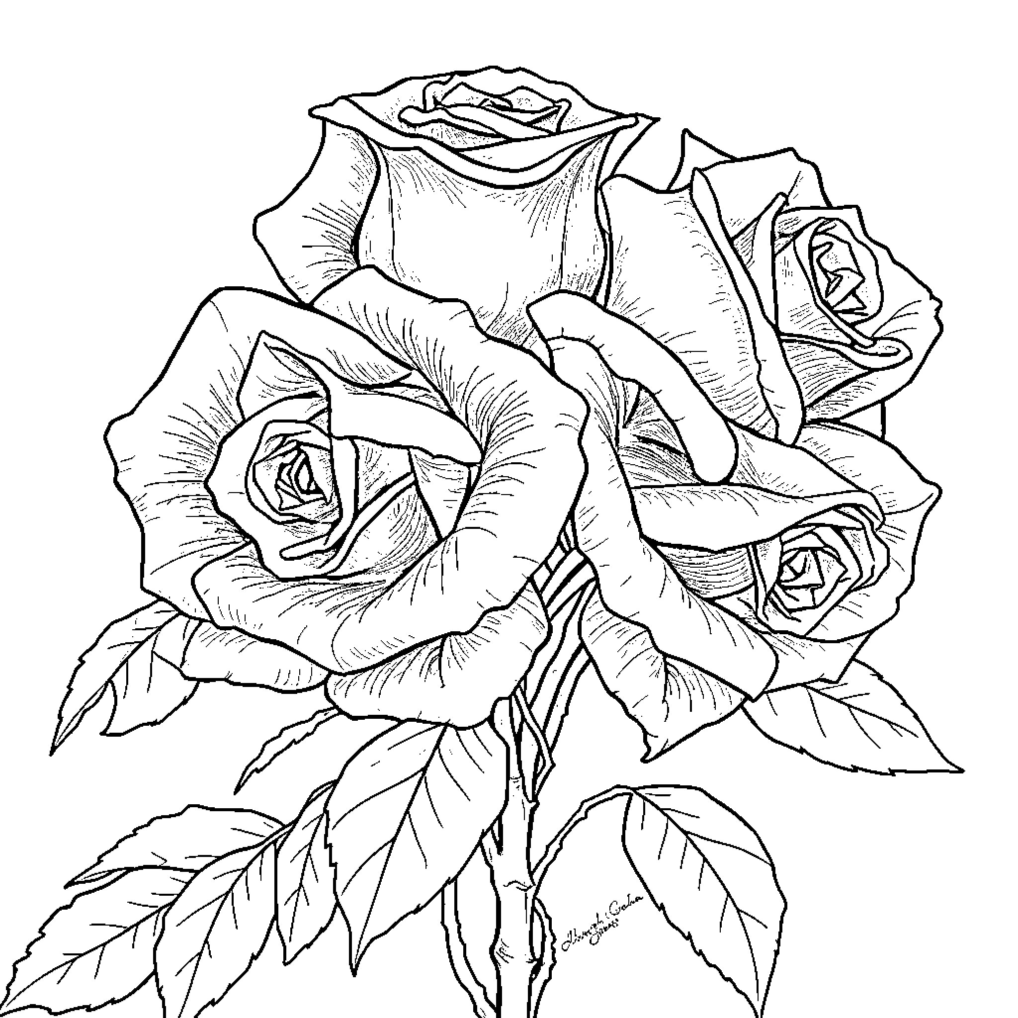Rose Bouquet with Intricate Floral Details Coloring Page (free black-and-white line drawing printable PDF for all, from beginners to advanced learners, including children, teens, adults, and seniors)